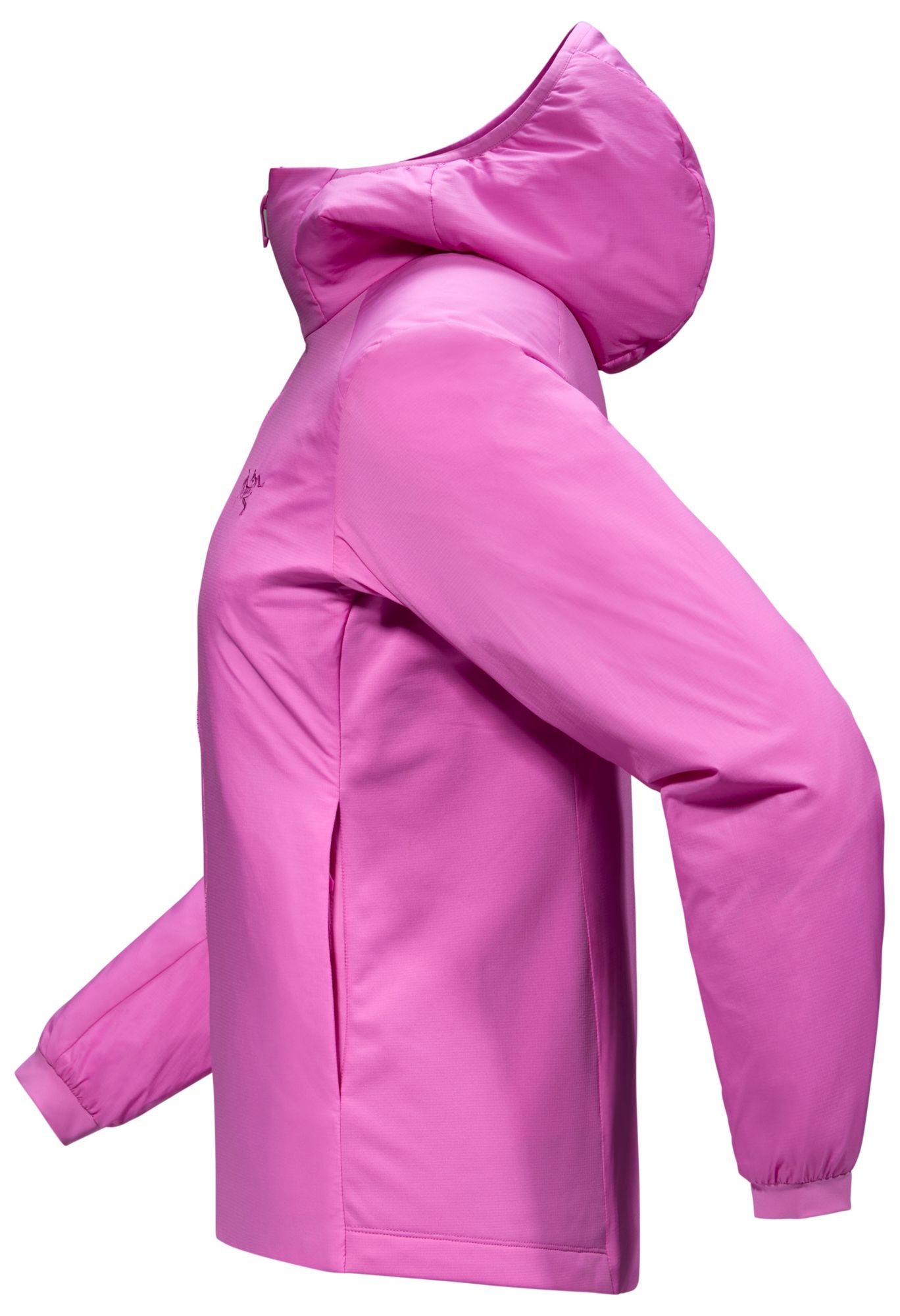 Arc'teryx Women's Atom Hoody product image