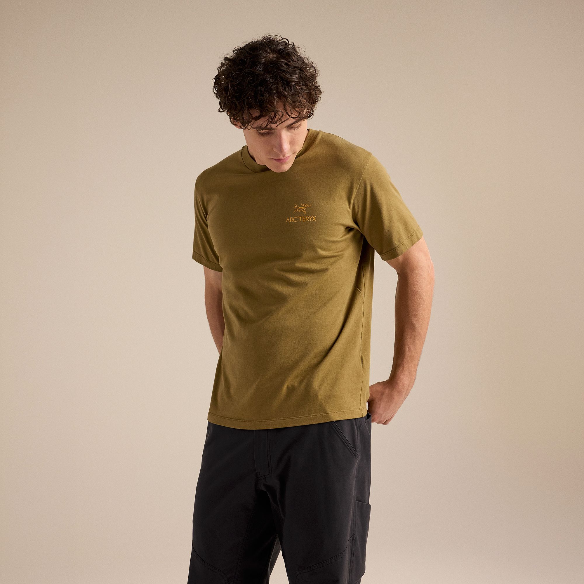 Arc'teryx Men's Kragg Sl Bird Word Short Sleeve Graphic T-Shirt product image