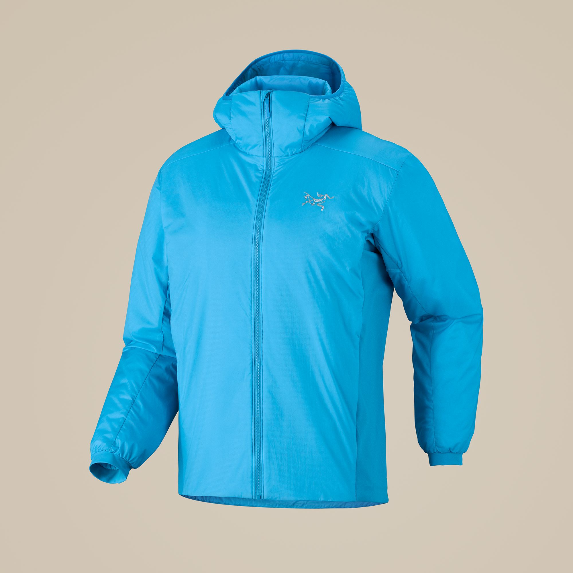 Arc'teryx Men's Atom Hoody product image