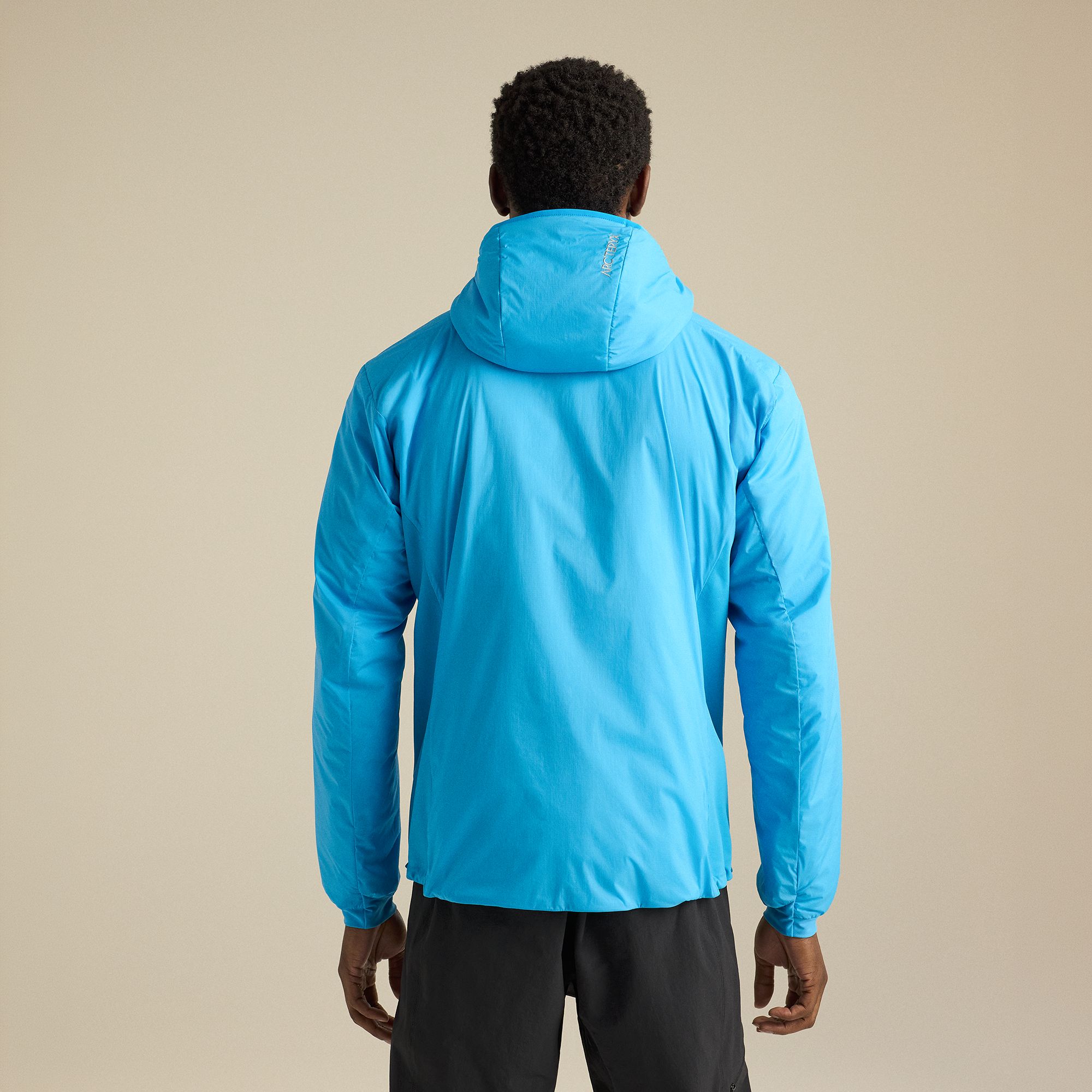 Arc'teryx Men's Atom Hoody product image