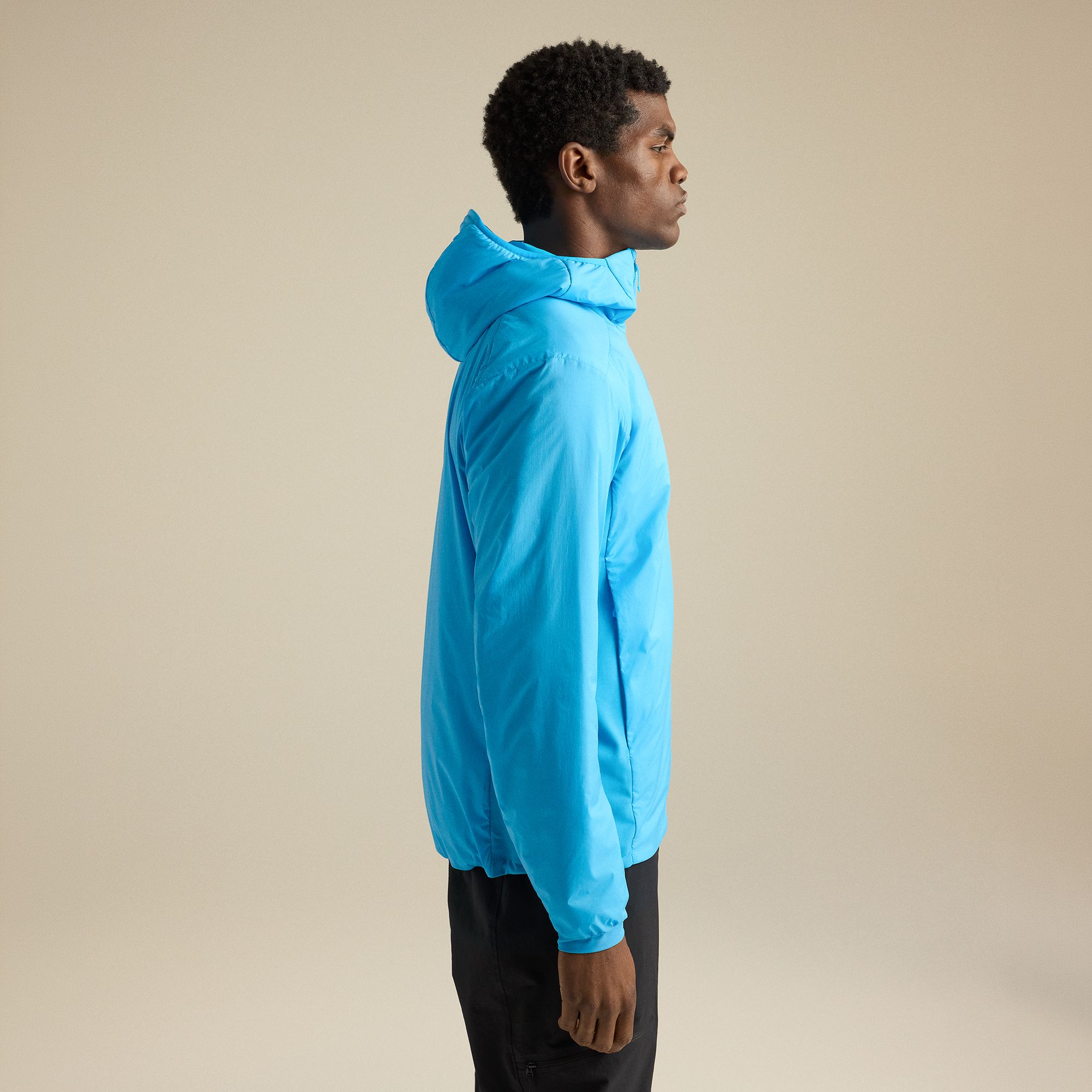 Arc'teryx Men's Atom Hoody product image