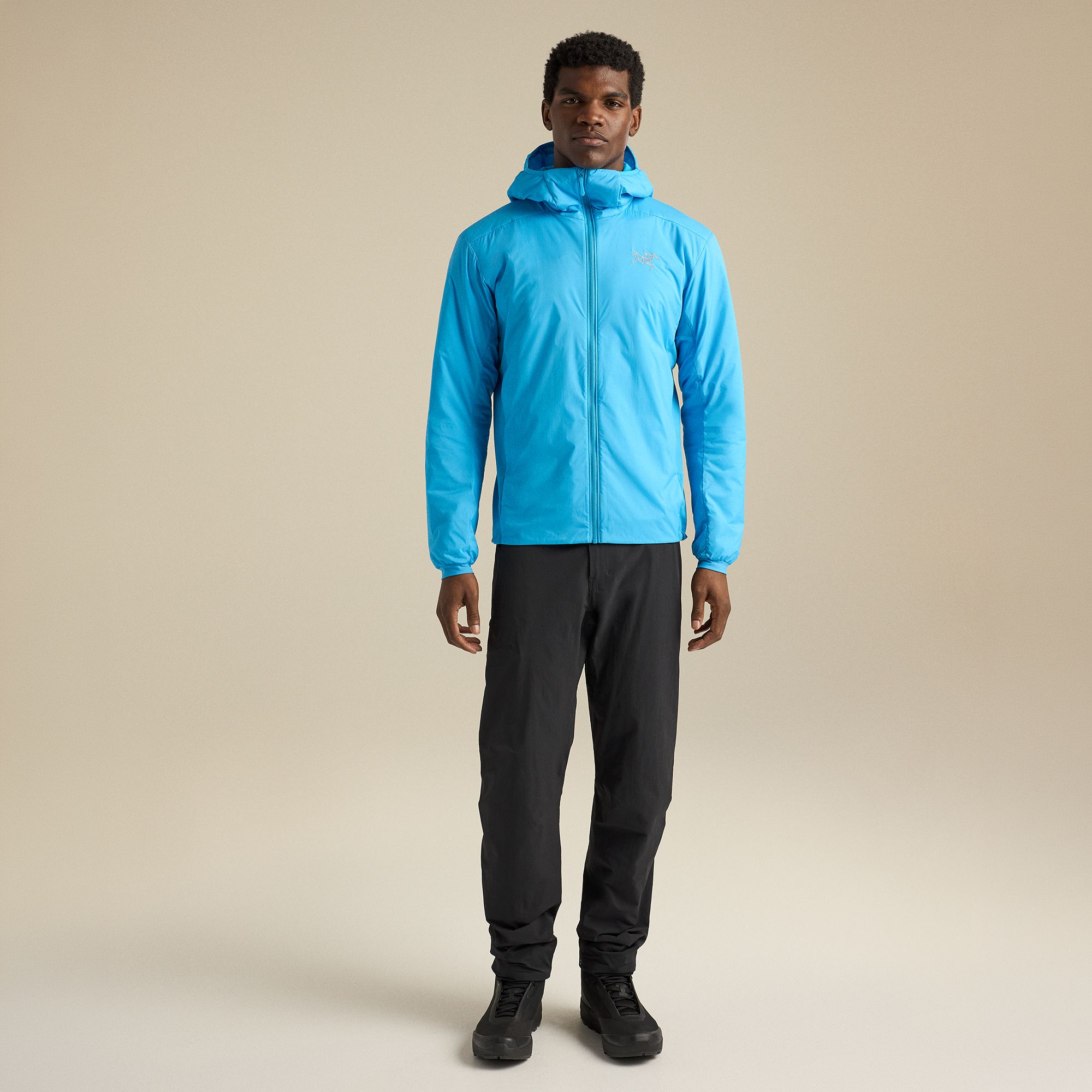 Arc'teryx Men's Atom Hoody product image