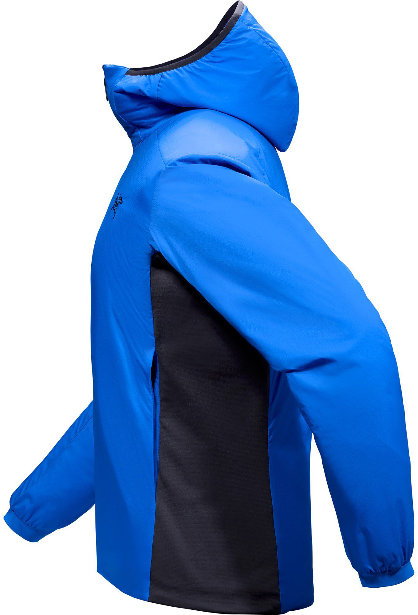 Arc'teryx Men's Atom Hoody product image