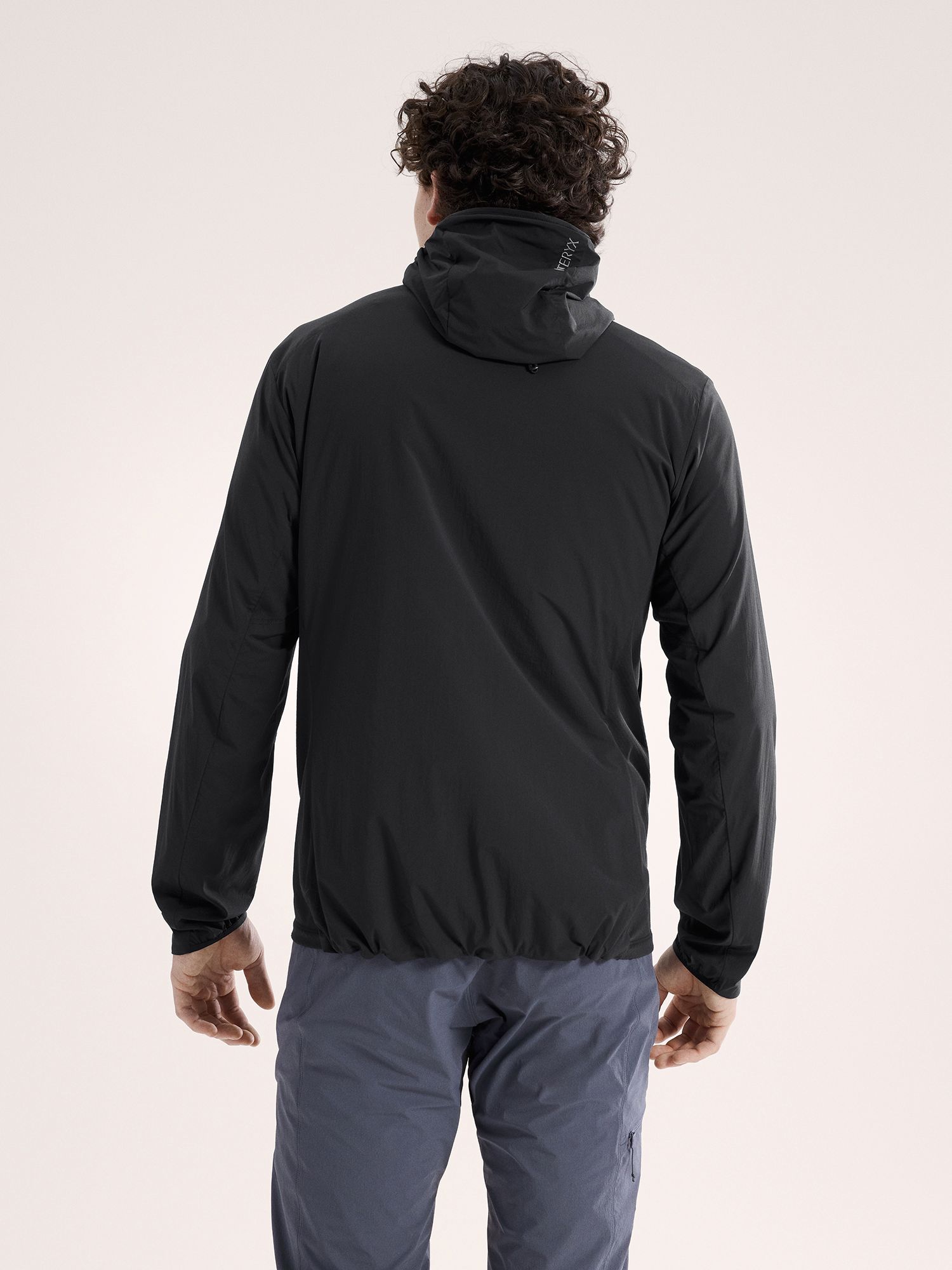 Arc'teryx Men's Atom SL Hoody product image