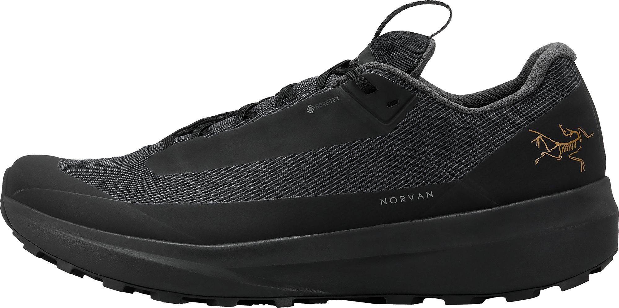 Arc'teryx Men's Norvan LD4 GORE-TEX Low Shoe product image