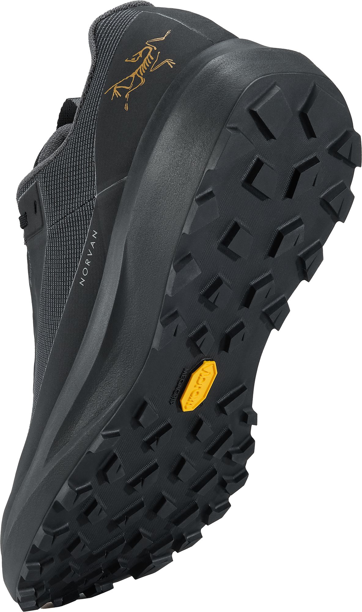 Arc'teryx Men's Norvan LD4 GORE-TEX Low Shoe product image