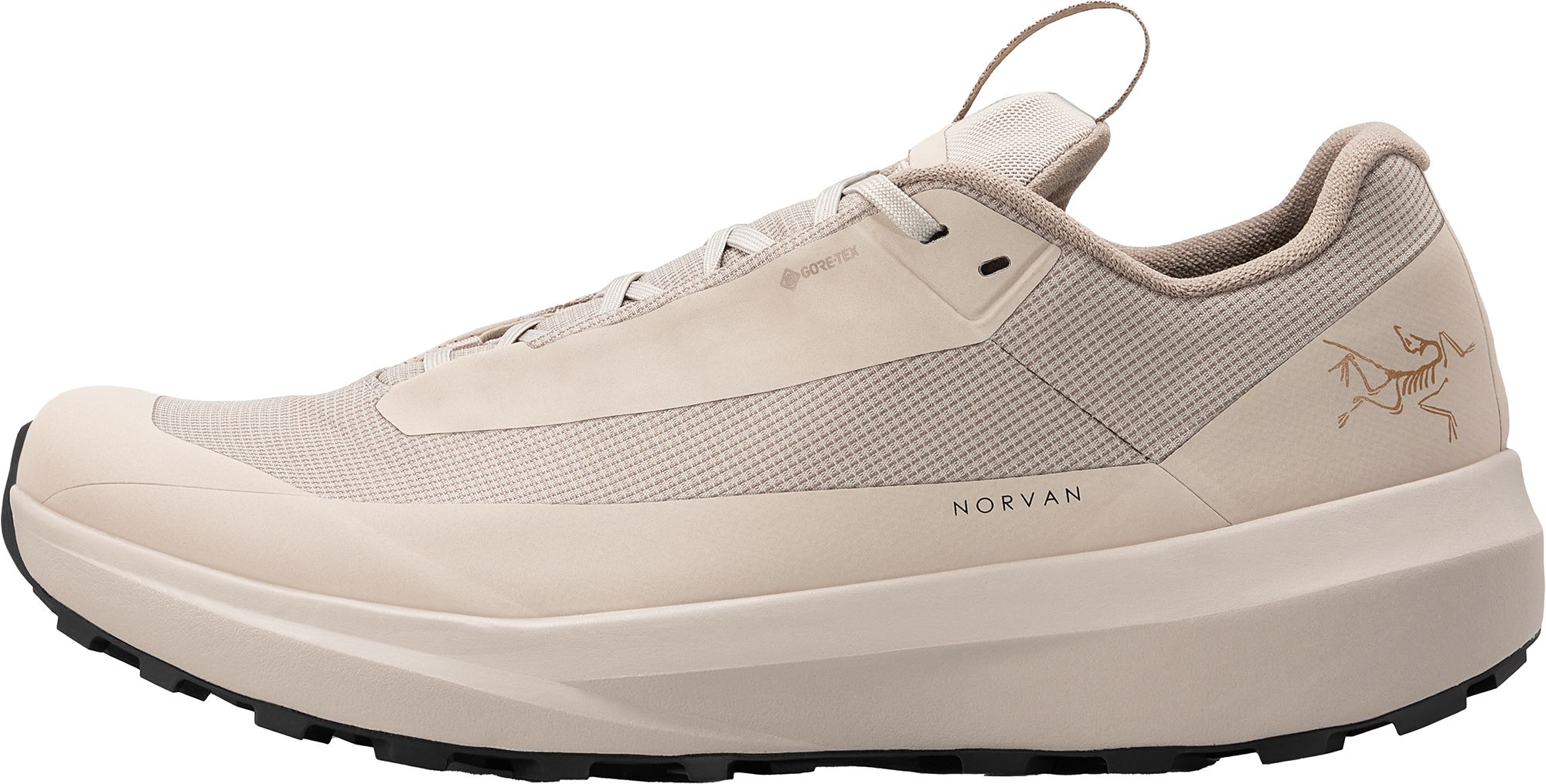 Arcteryx Men's Norvan LD4 GORE-TEX Low Shoe product image