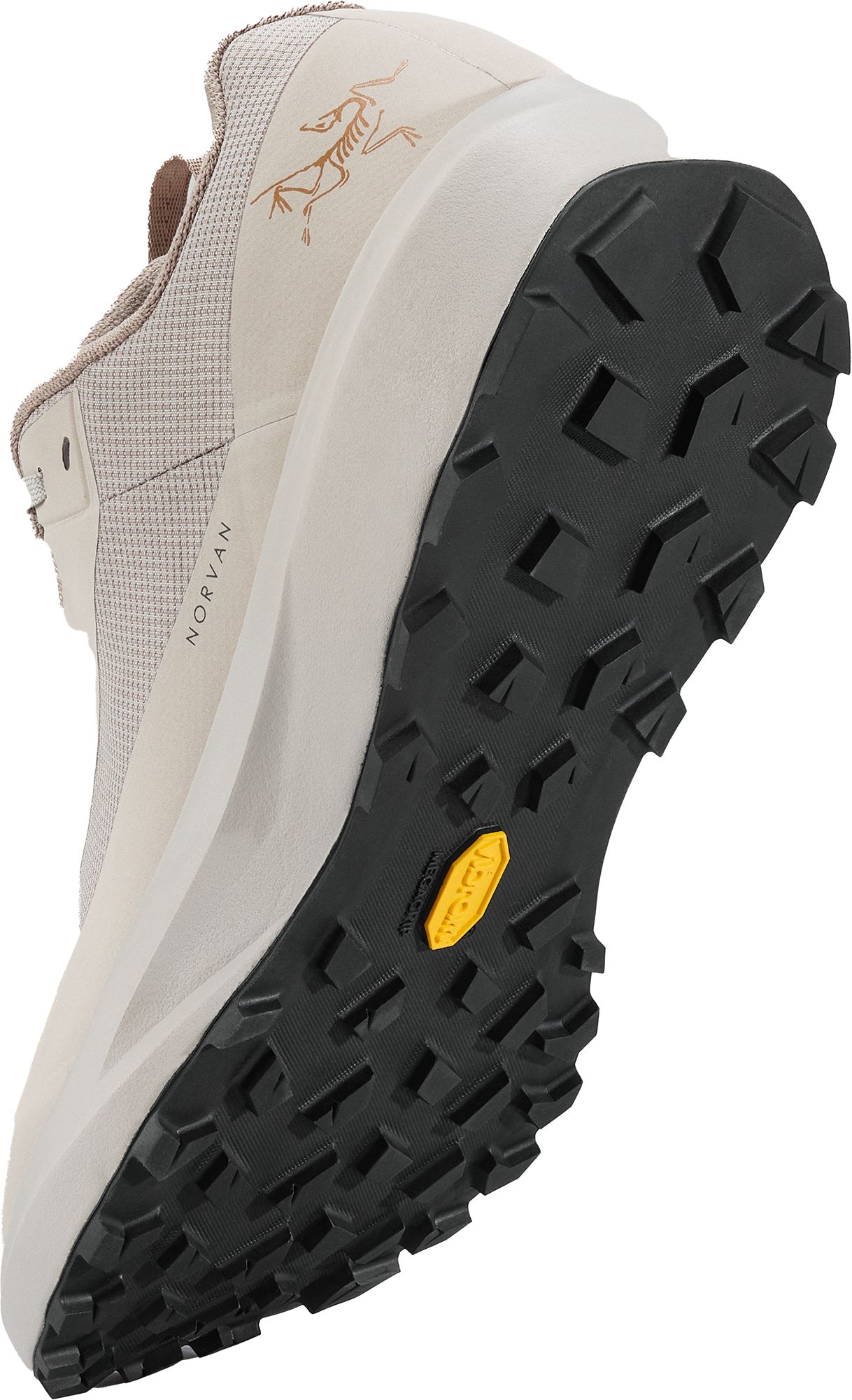 Arcteryx Men's Norvan LD4 GORE-TEX Low Shoe product image