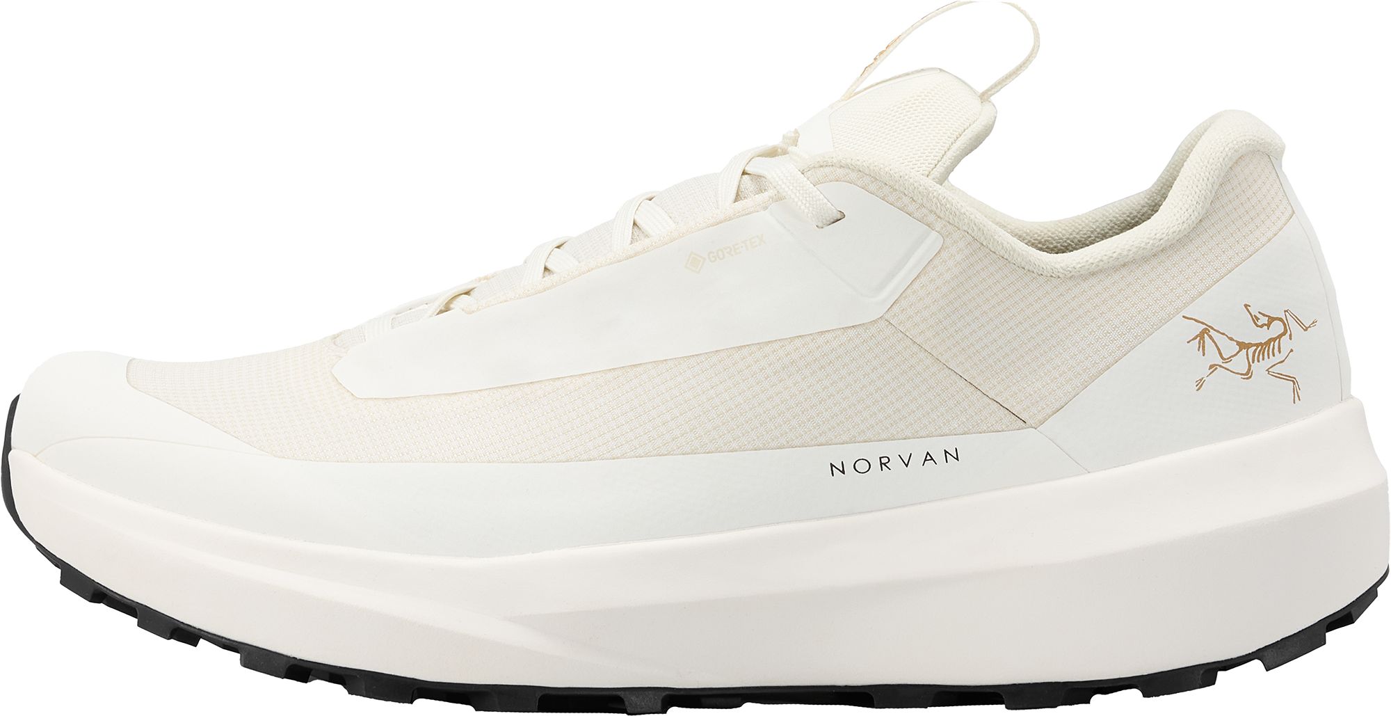 Arcteryx Women's Norvan LD4 GORE-TEX Low Shoe product image