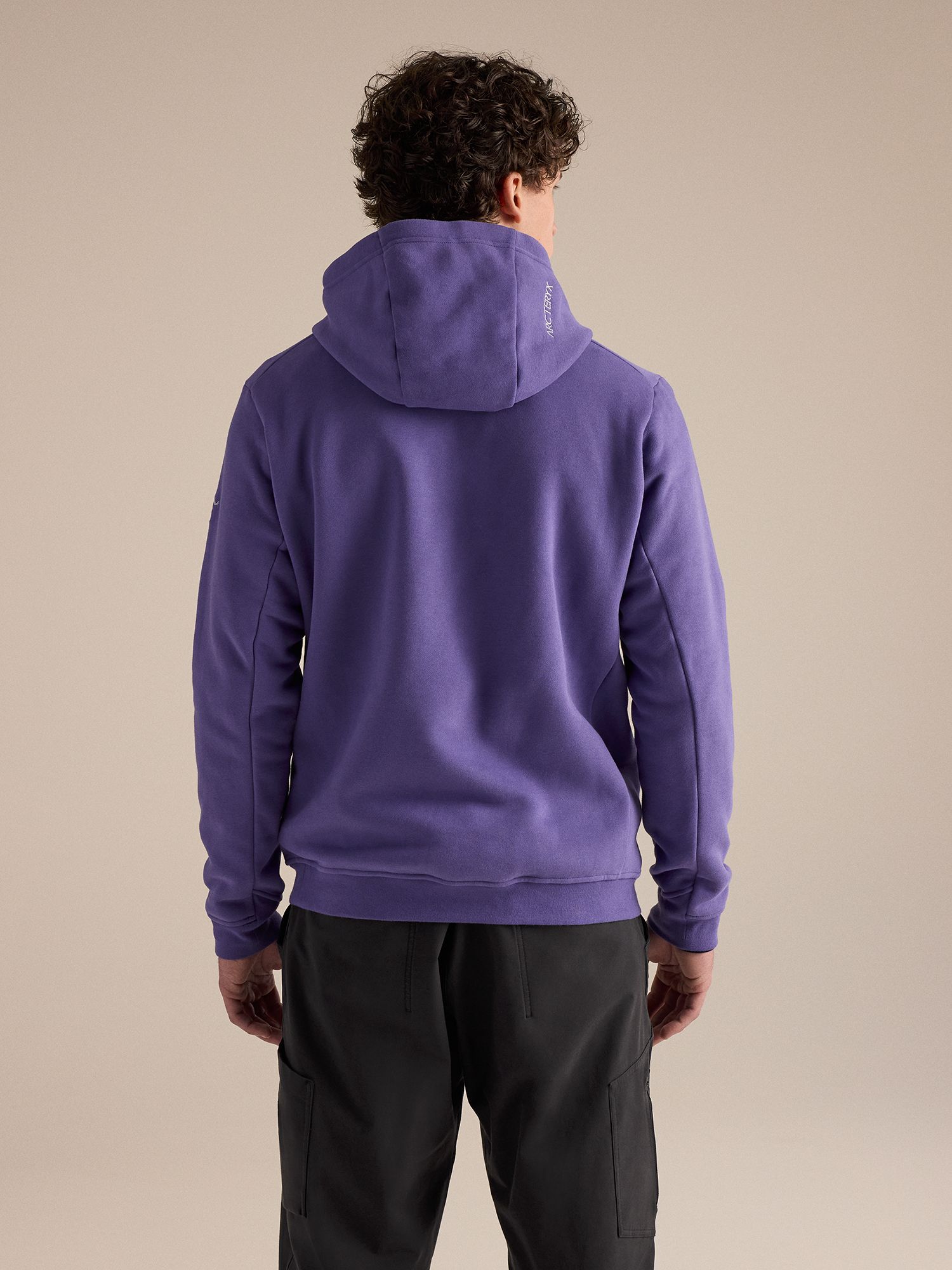 Arc'teryx Men's Emblem Fleece Hoodie product image