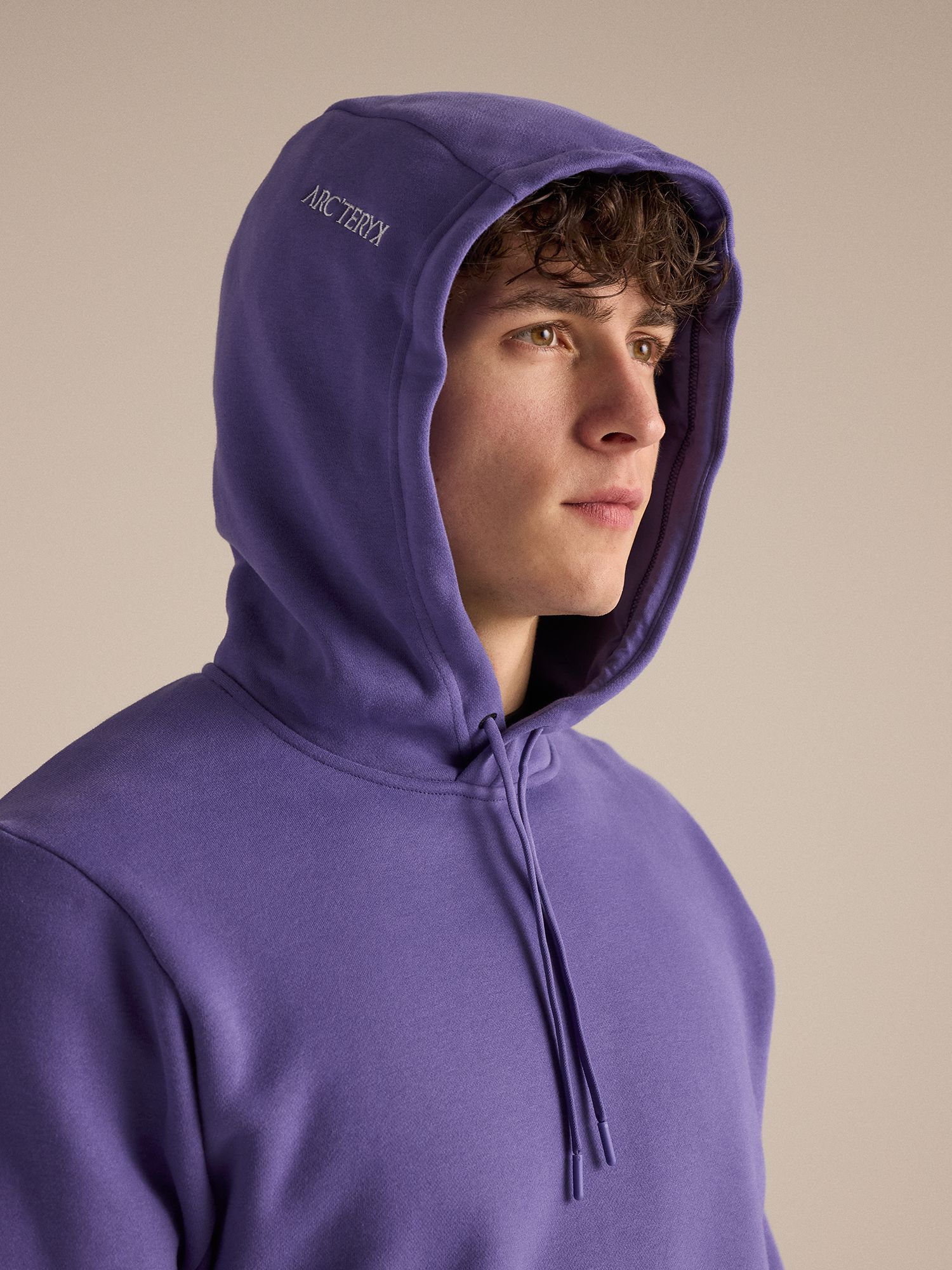 Arc'teryx Men's Emblem Fleece Hoodie product image