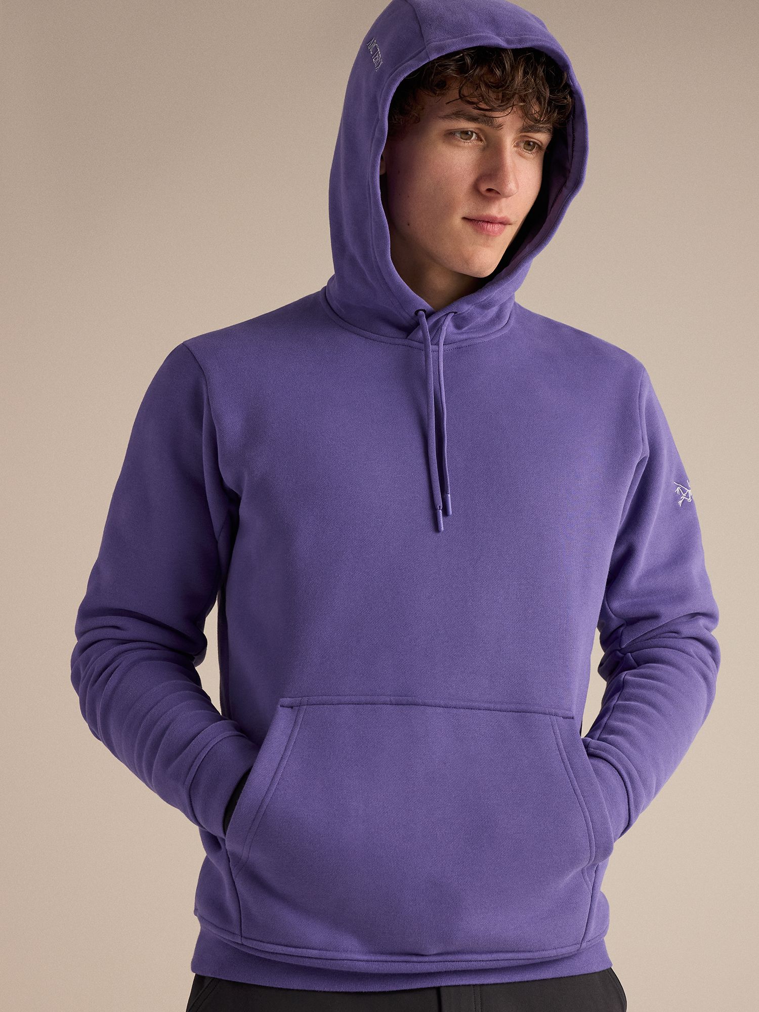 Arc'teryx Men's Emblem Fleece Hoodie product image