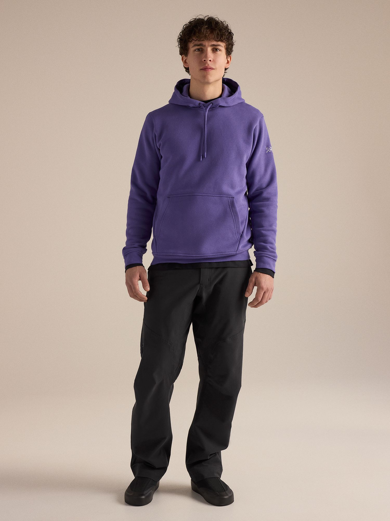 Arc'teryx Men's Emblem Fleece Hoodie product image