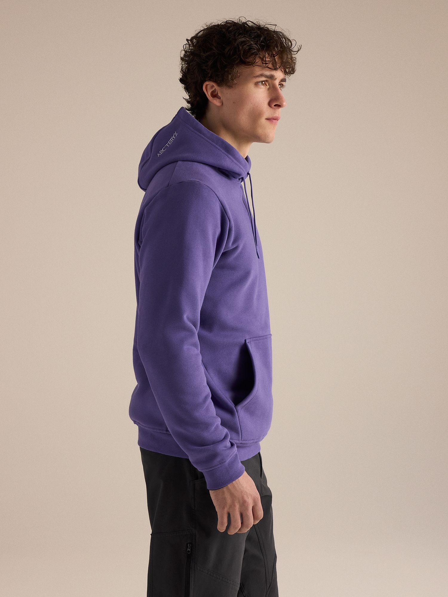 Arc'teryx Men's Emblem Fleece Hoodie product image