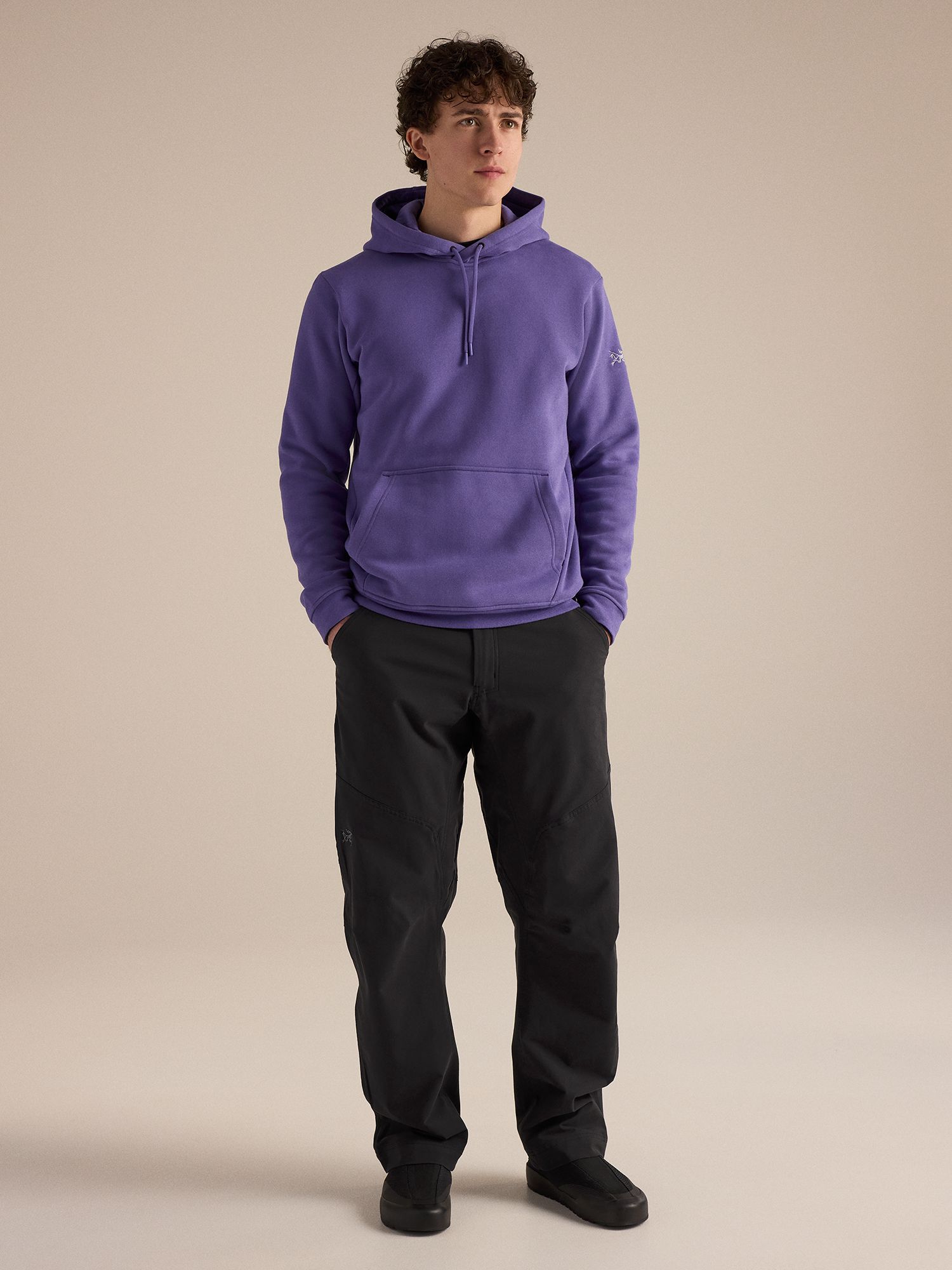Arc'teryx Men's Emblem Fleece Hoodie product image