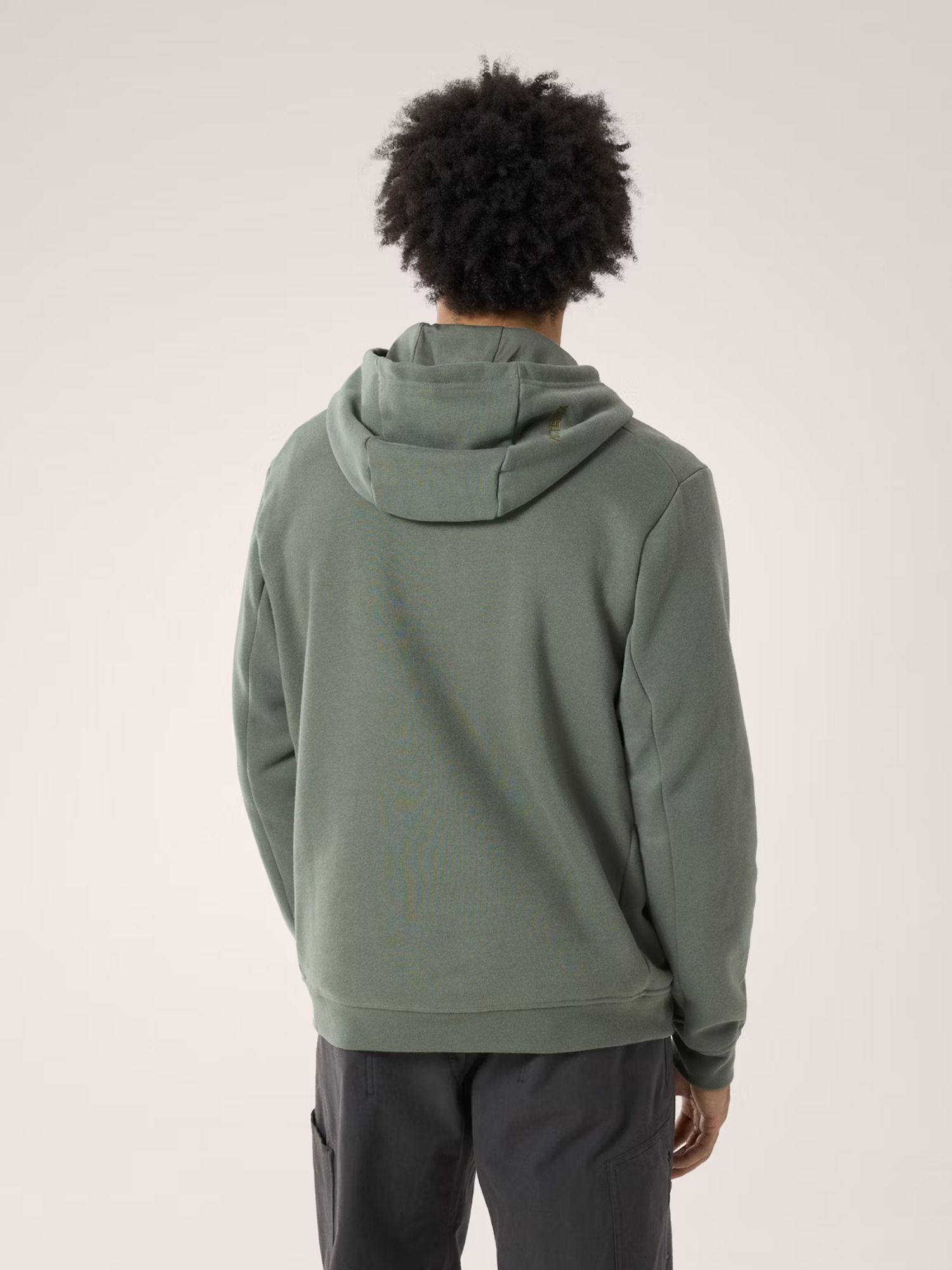 Arc'teryx Men's Emblem Fleece Hoodie product image