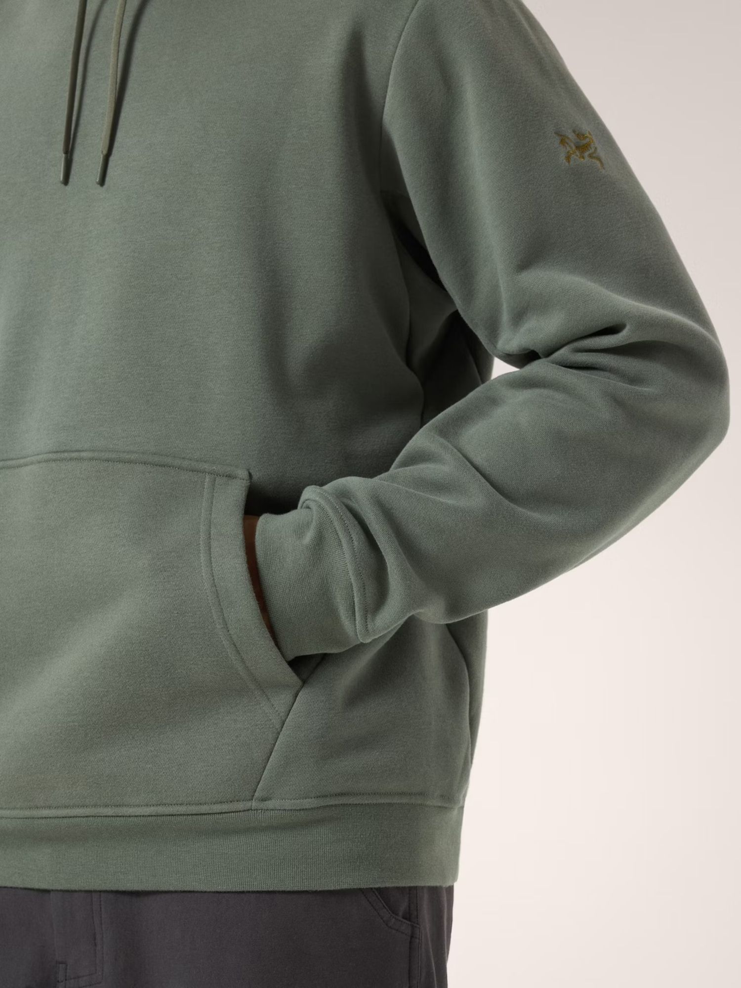 Arc'teryx Men's Emblem Fleece Hoodie product image