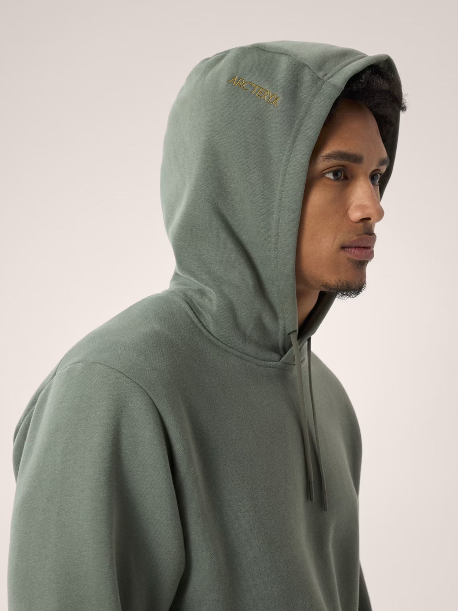 Arc'teryx Men's Emblem Fleece Hoodie product image