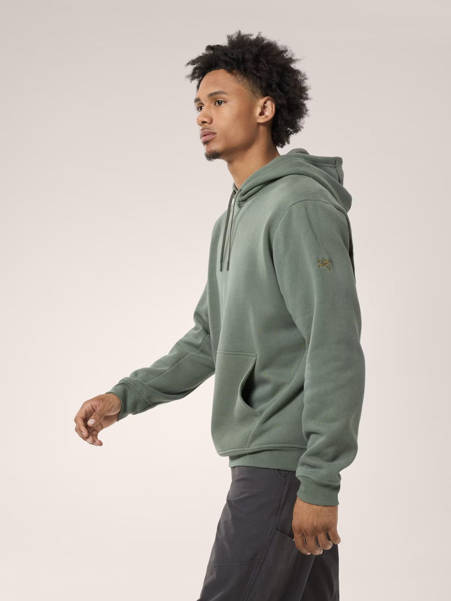 Arc'teryx Men's Emblem Fleece Hoodie product image