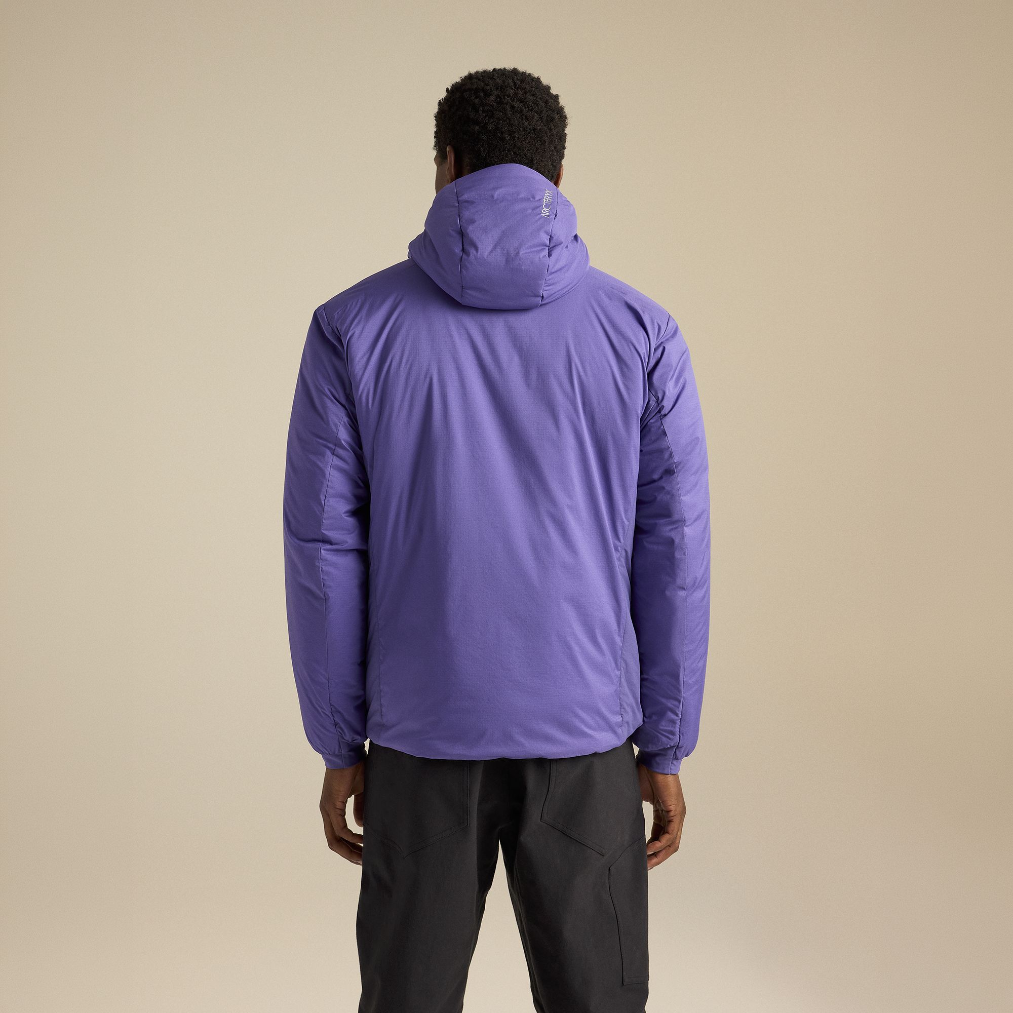 Arc'teryx Men's Atom SV Hoodie product image