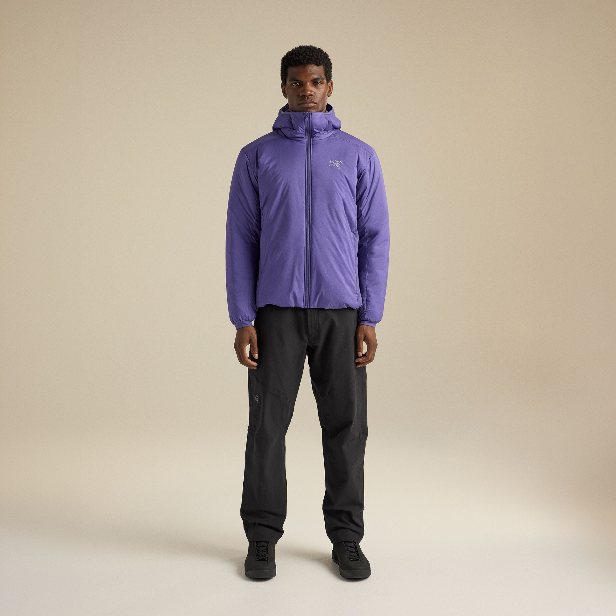 Arc'teryx Men's Atom SV Hoodie product image