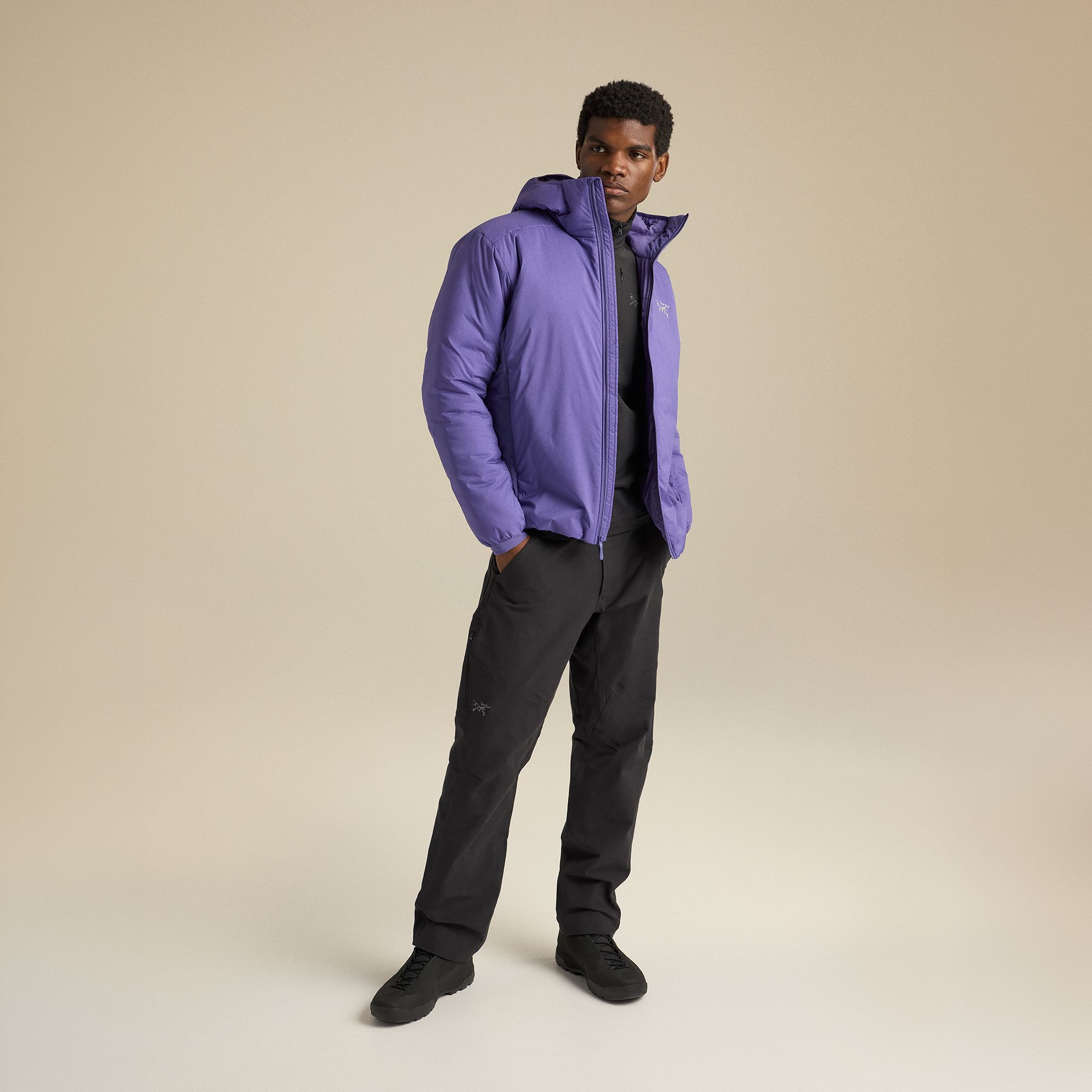 Arc'teryx Men's Atom SV Hoodie product image