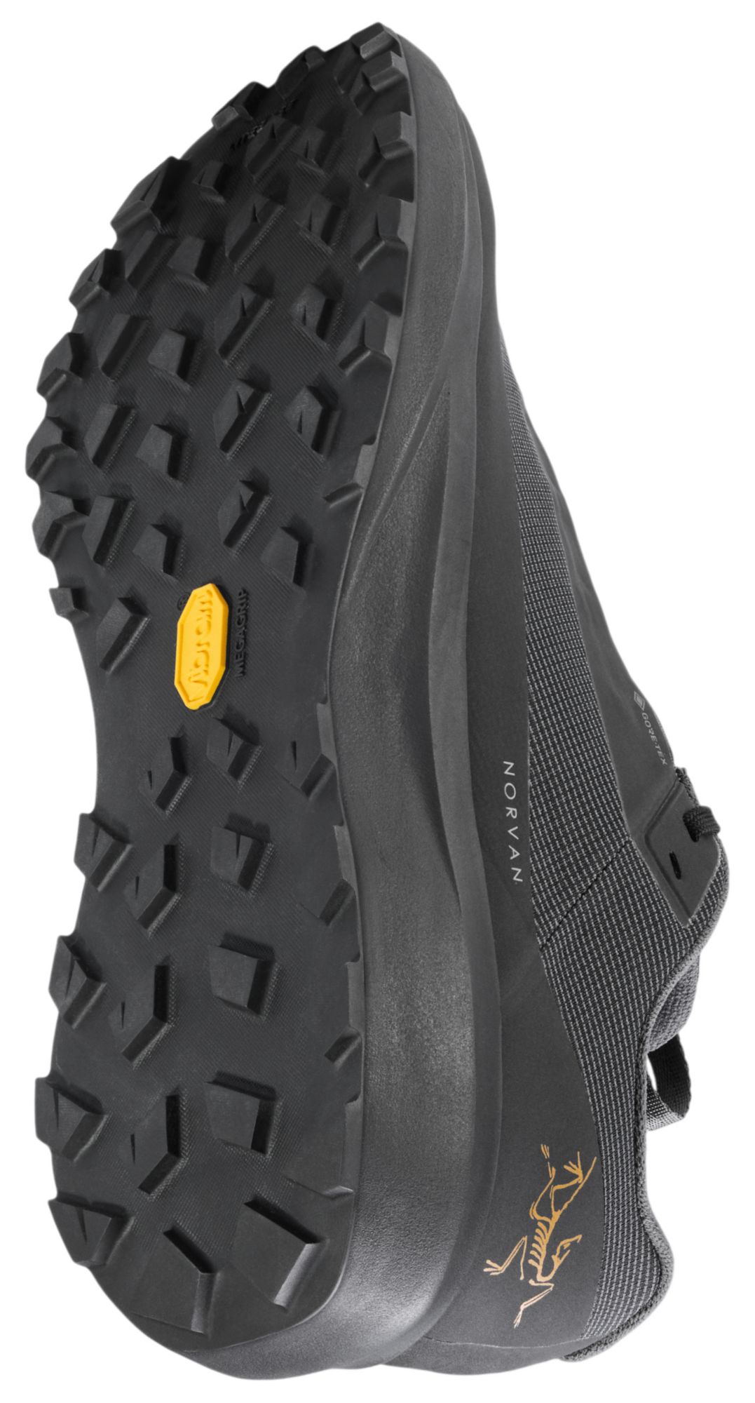 Arc'teryx Men's Norvan LD4 GORE-TEX Low Shoe product image