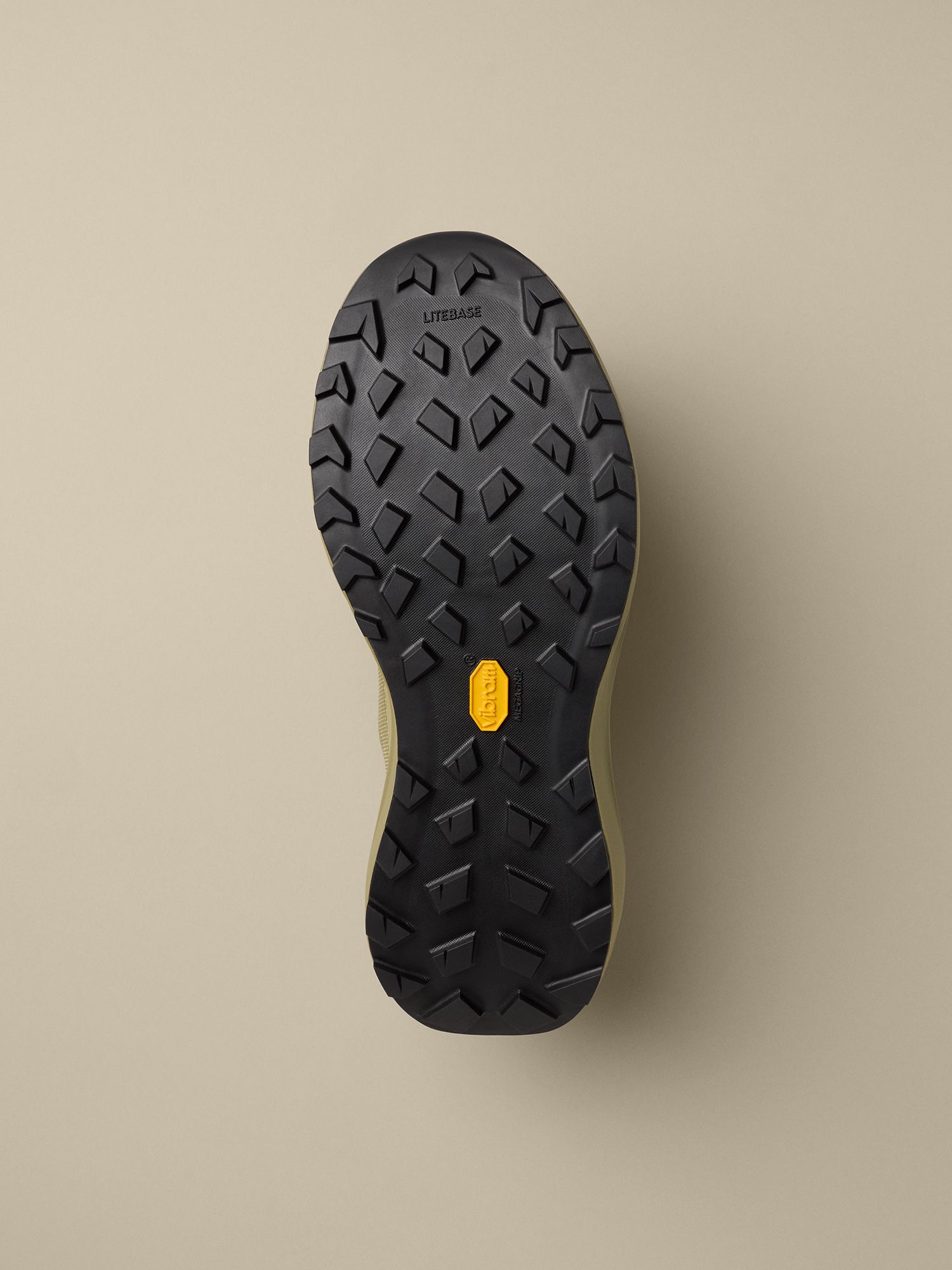 Arc'teryx Men's Norvan LD4 GTX Hiking Shoes product image
