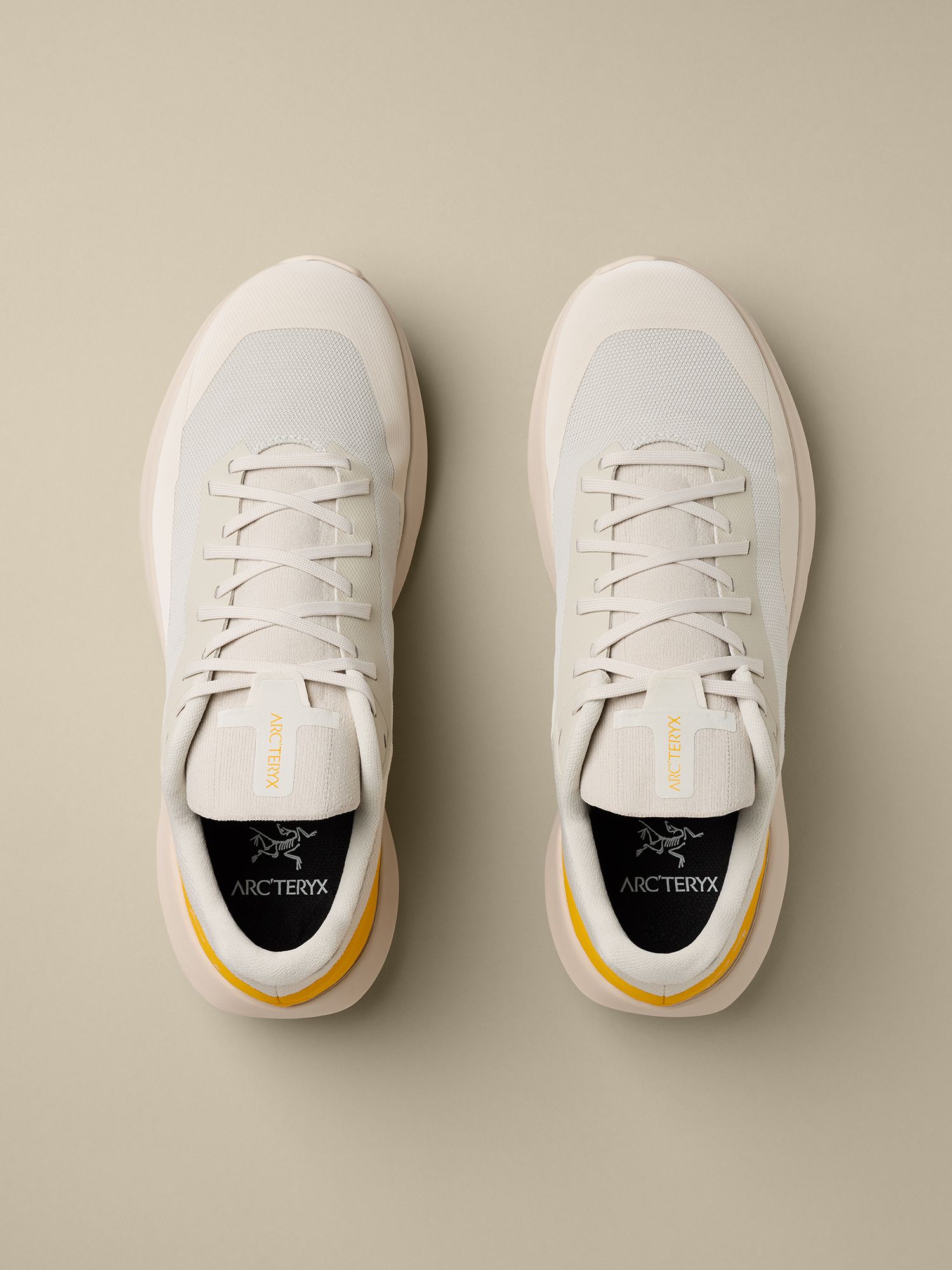 Arc'teryx Men's Norvan LD4 Hiking Shoes product image