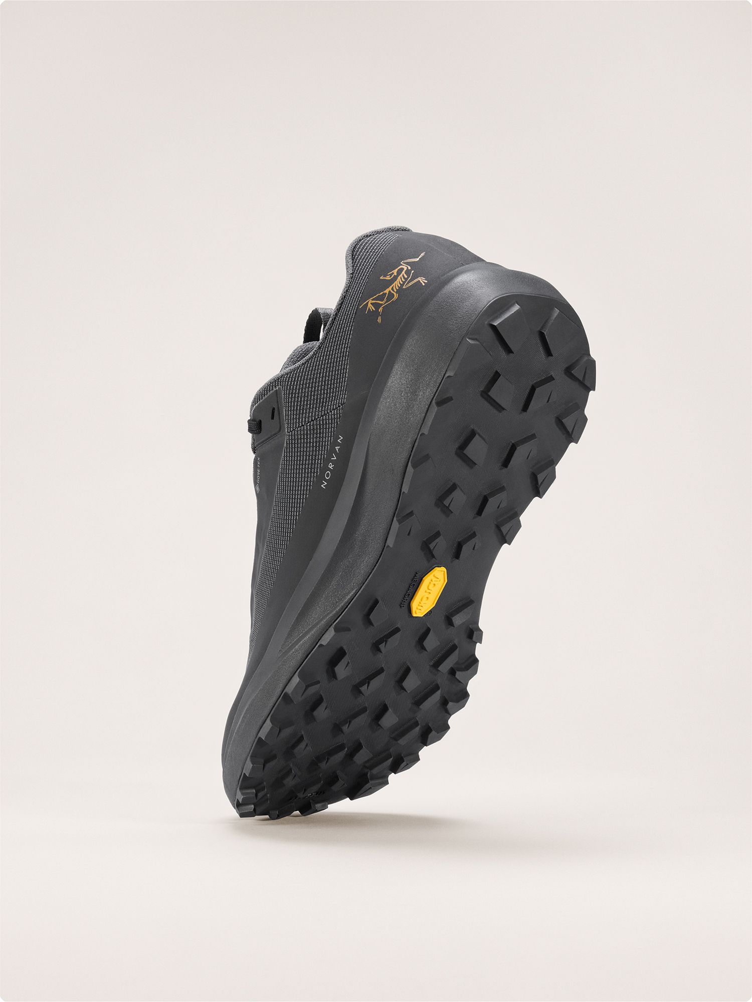 Arc'teryx Women's Norvan LD4 GTX Trail Running Shoes product image