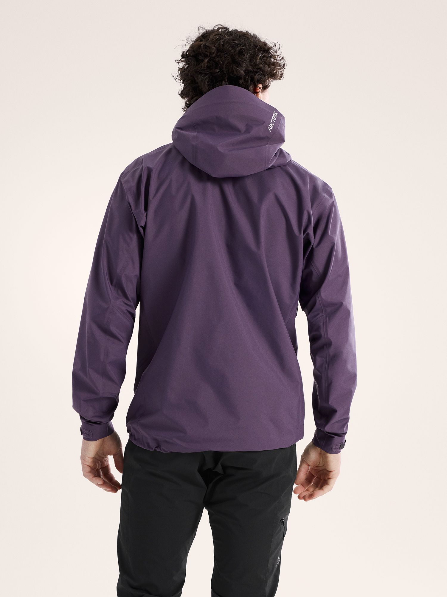 Arc'teryx Men's Beta SL Jacket product image