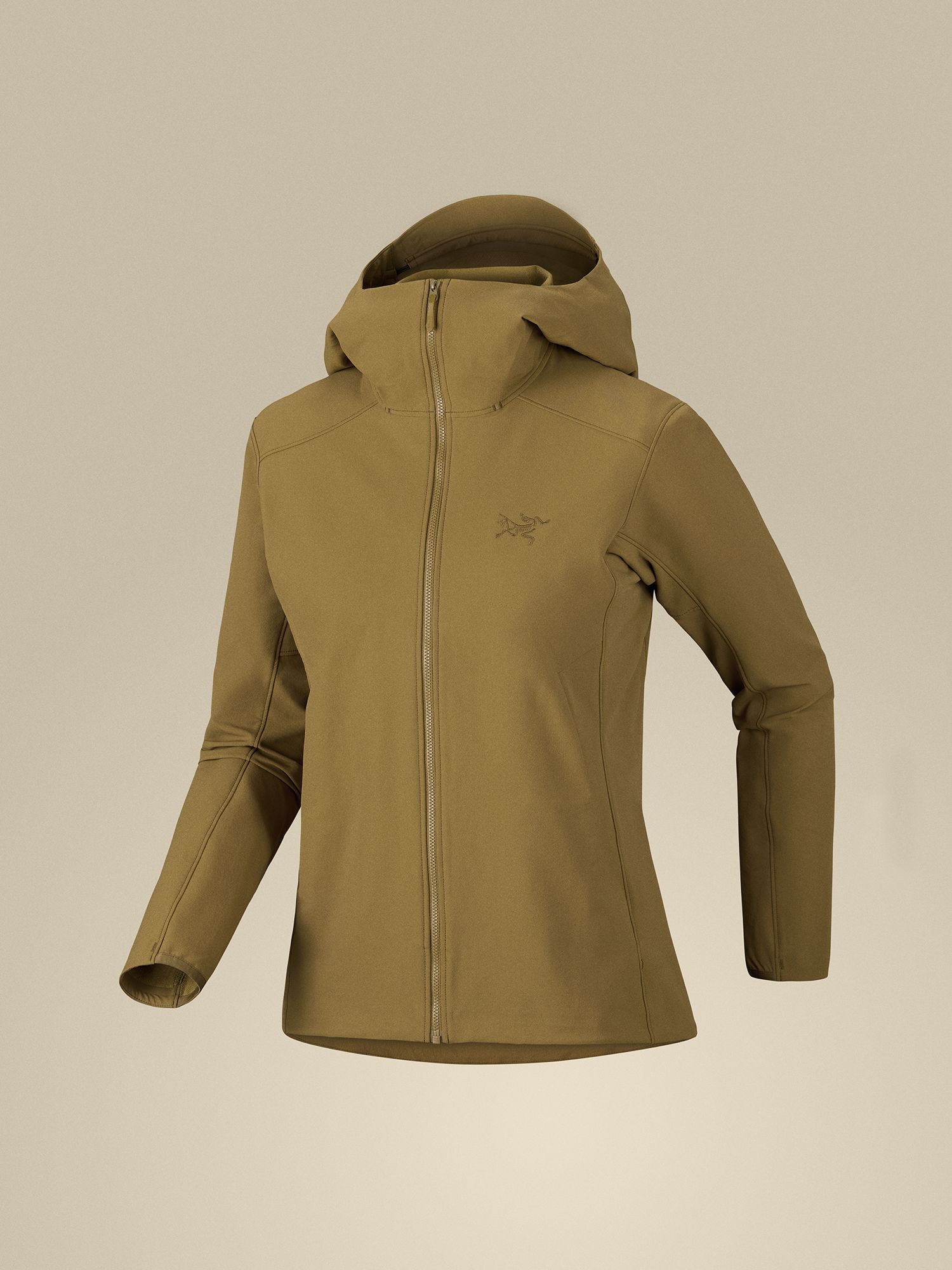 Arc'teryx Women's Gamma Hoodie product image
