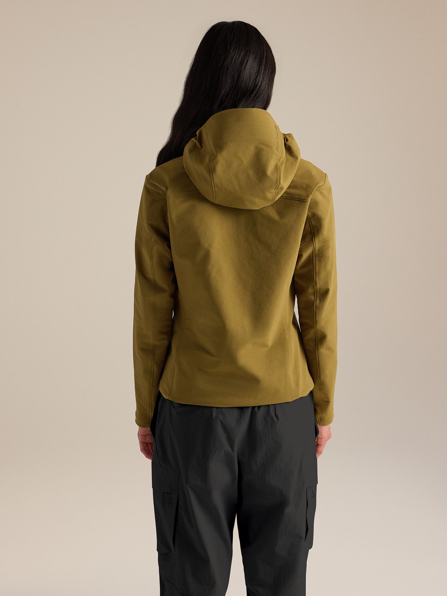 Arc'teryx Women's Gamma Hoodie product image