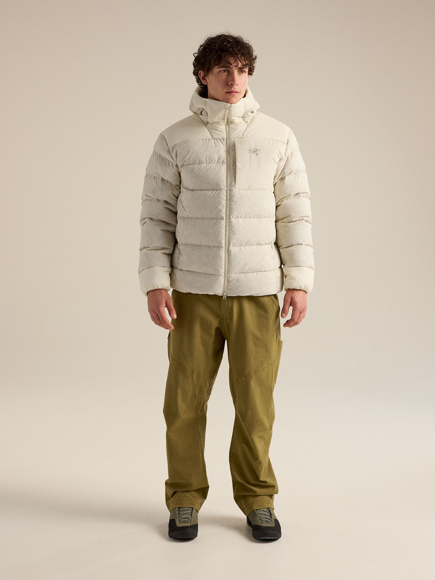 Arc'teryx Men's Thorium Hoodie product image