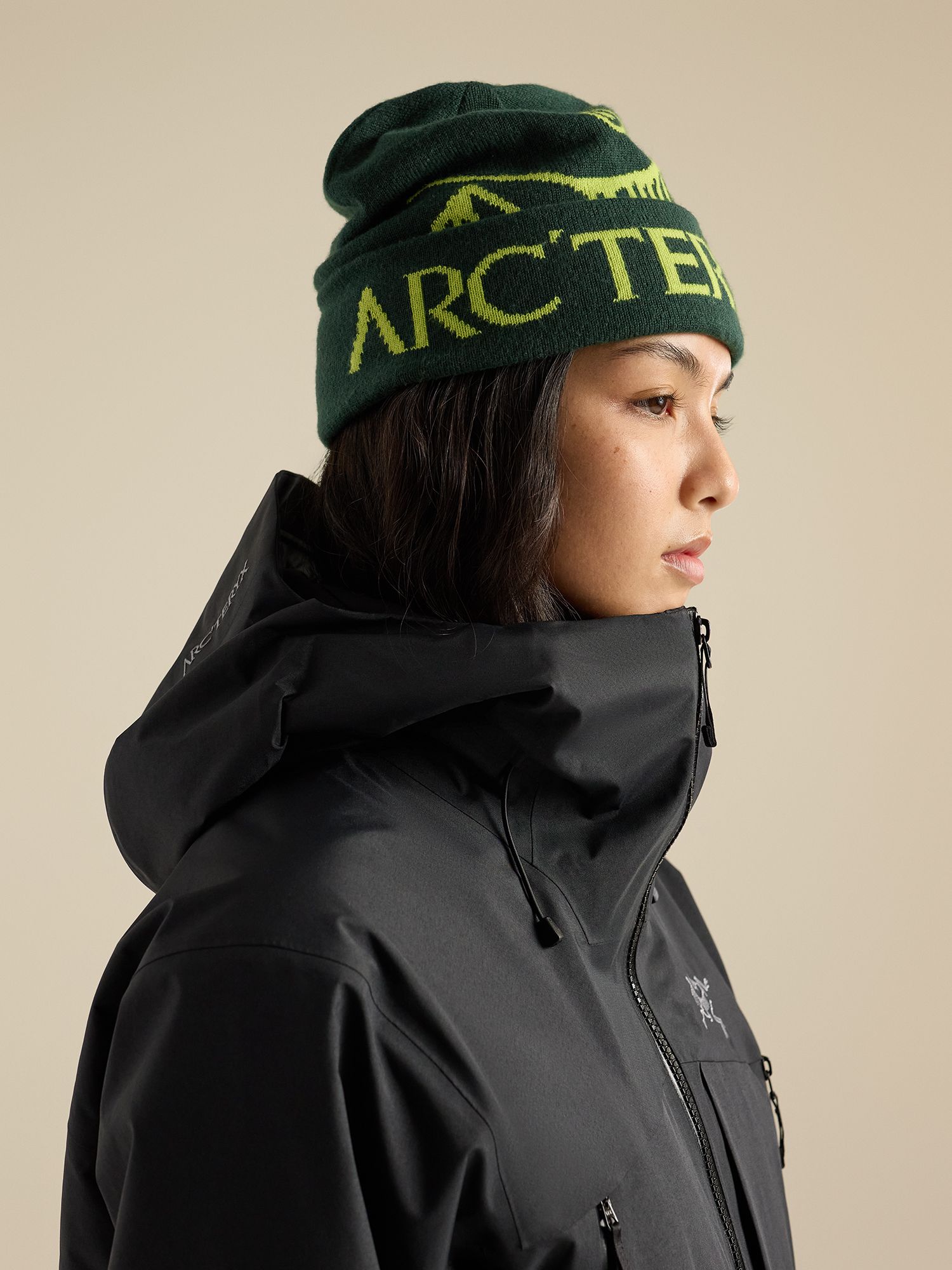 Arc'teryx  Bird Word Toque product image
