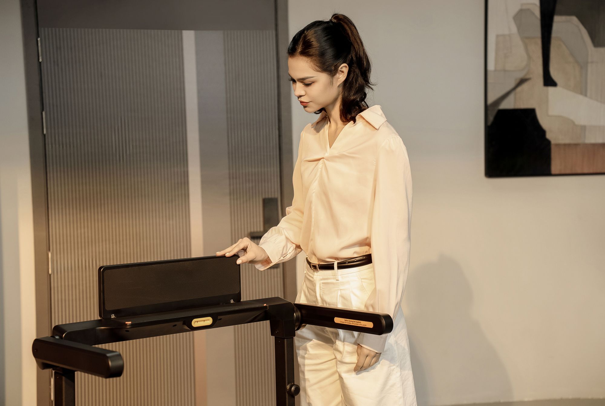 WalkingPad X10 Double-Fold Treadmill product image