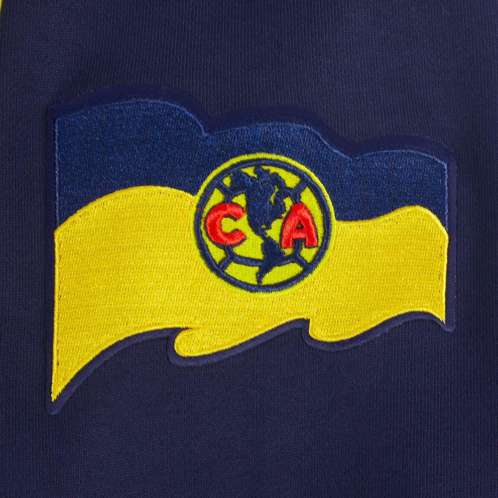 Pro Standard Men's Club America Navy Multi - Graphic Hoodie product image