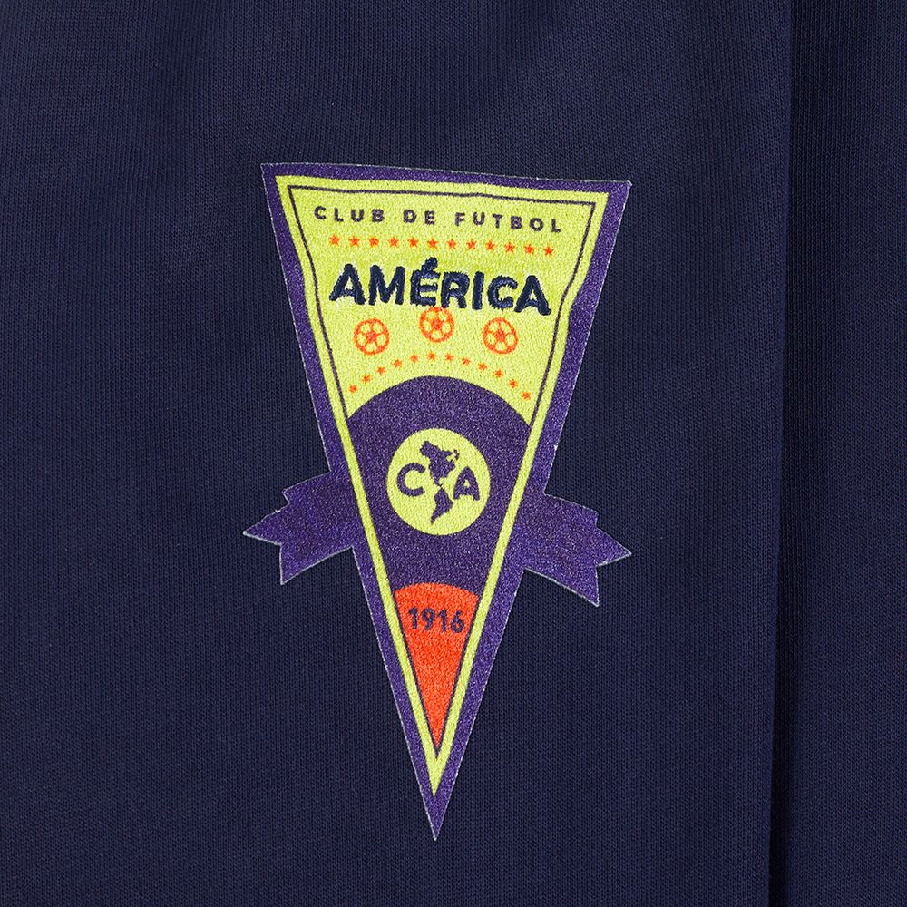 Pro Standard Men's Club America Navy Multi - Graphic Hoodie product image