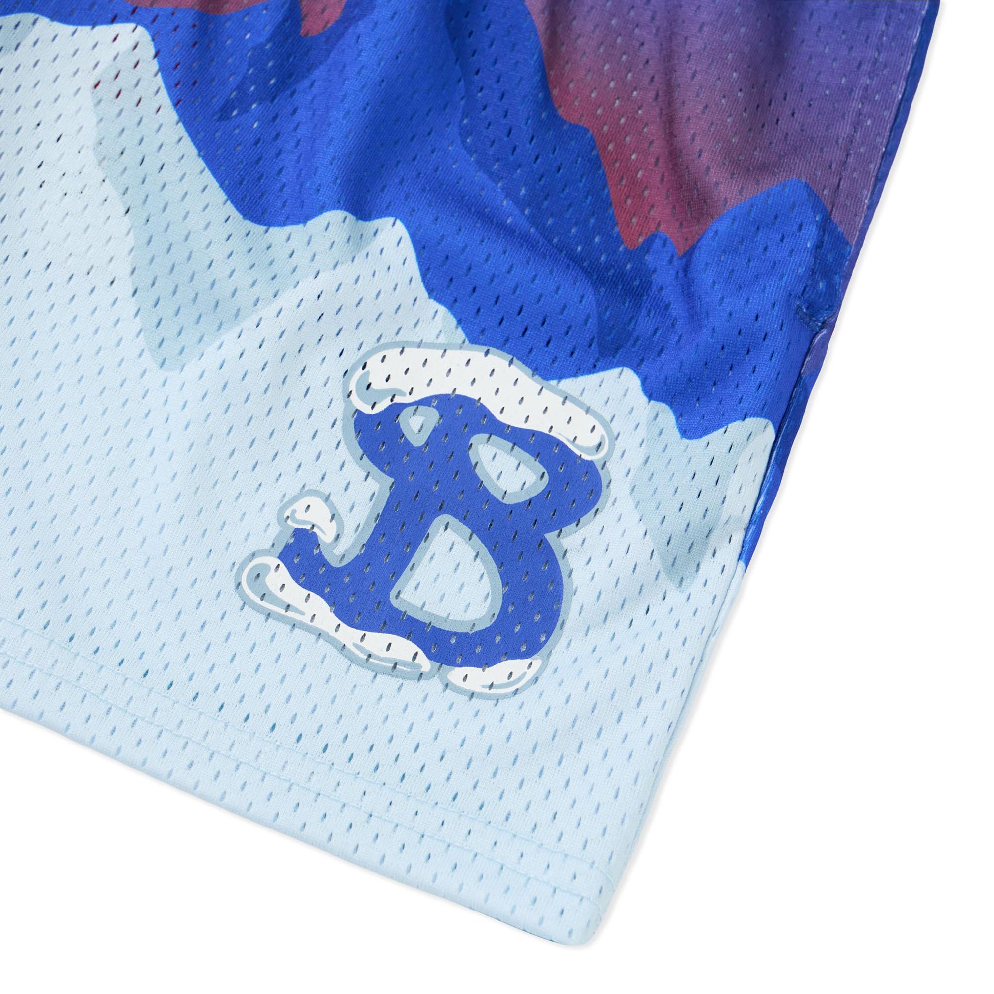 Bucketsquad Youth Arctic Summit Shorts product image