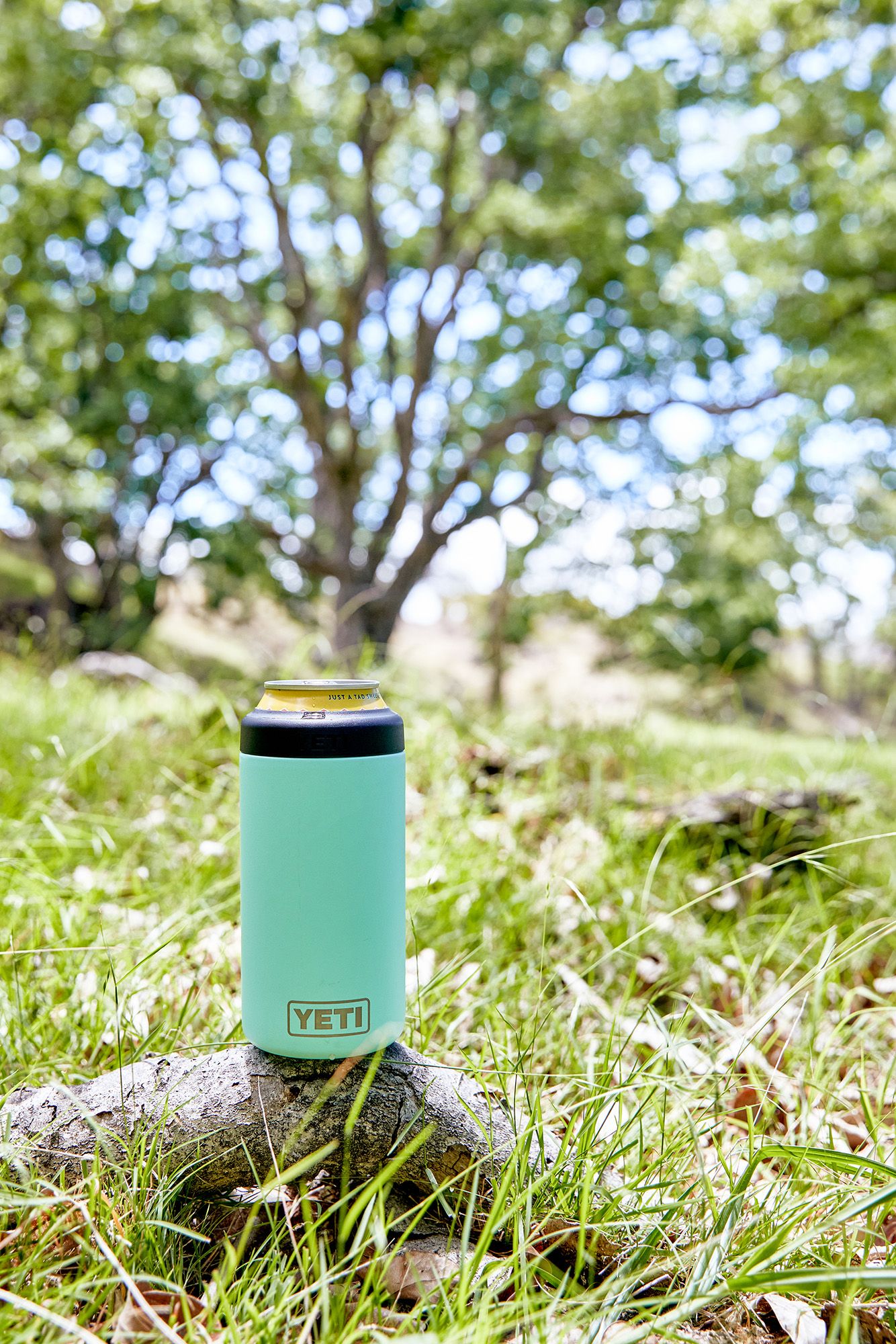 YETI 12 oz. Rambler Colster Slim Can Insulator product image