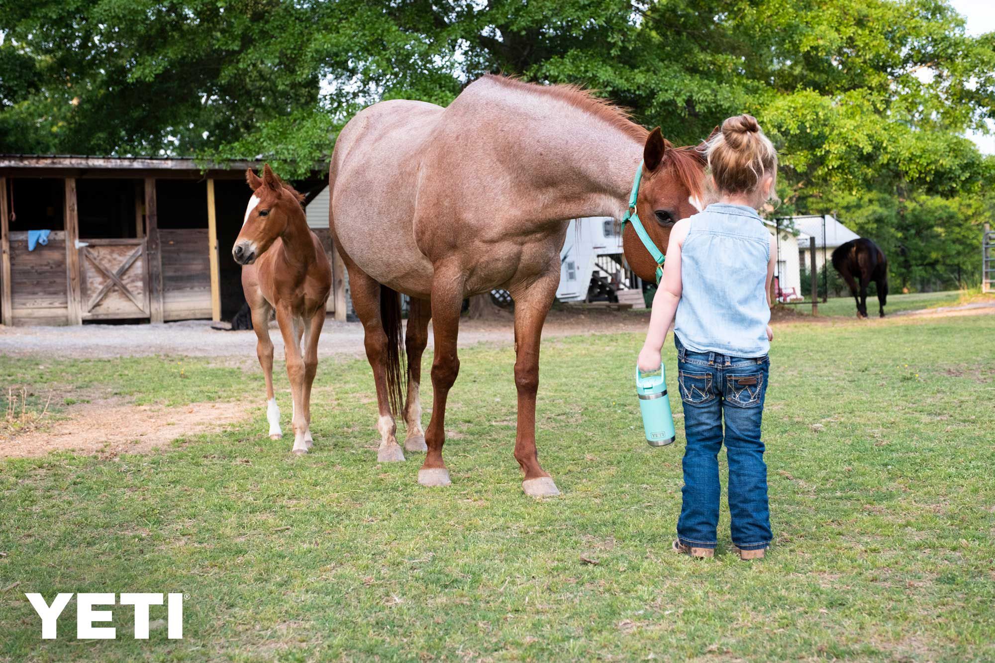 YETI 12 oz. Rambler Junior Bottle product image