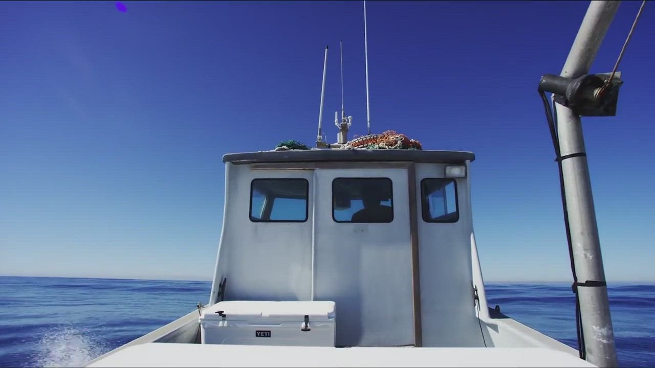 YETI Tundra 65 Cooler product