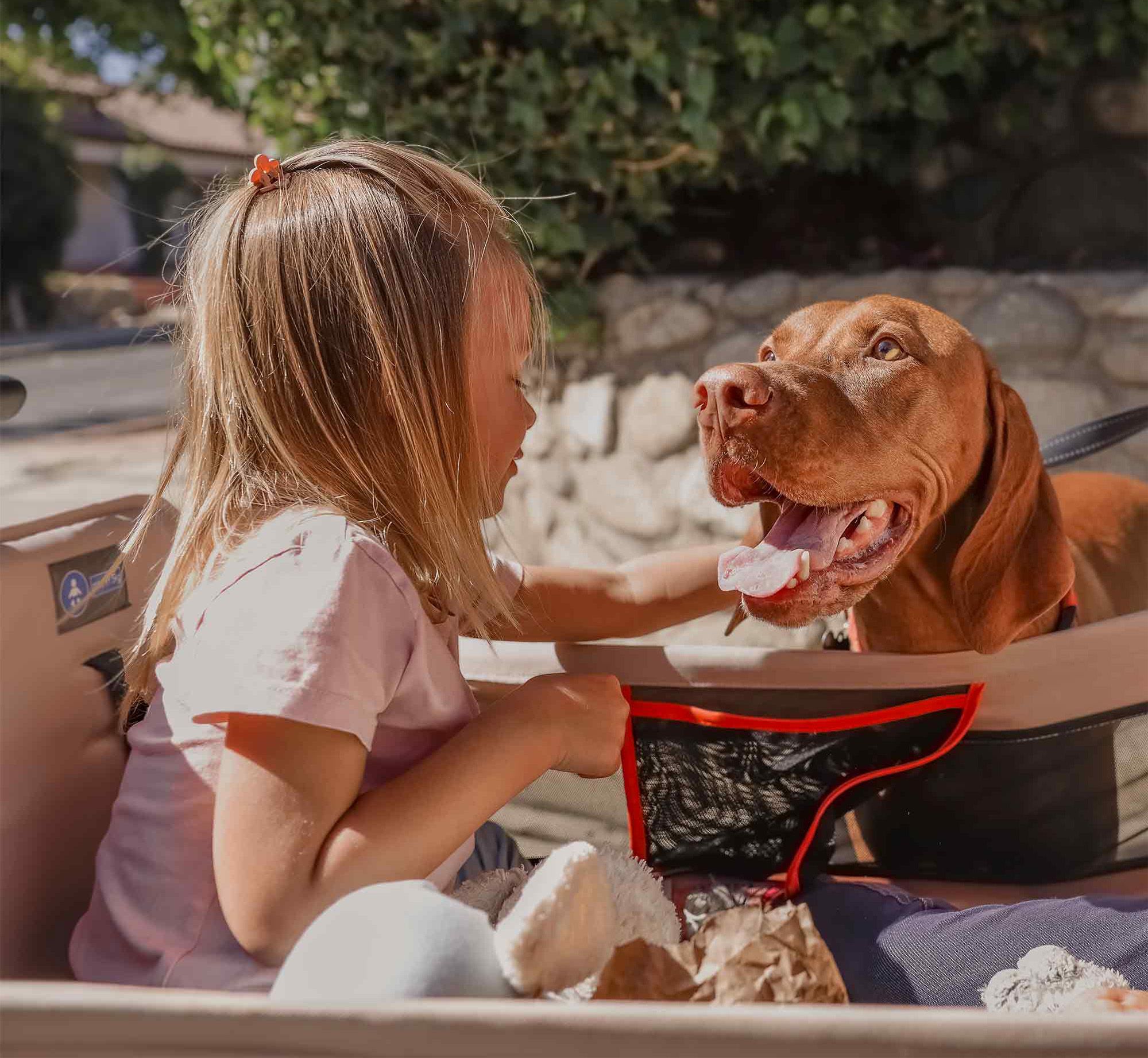 Yvolution Stroller Wagon product image