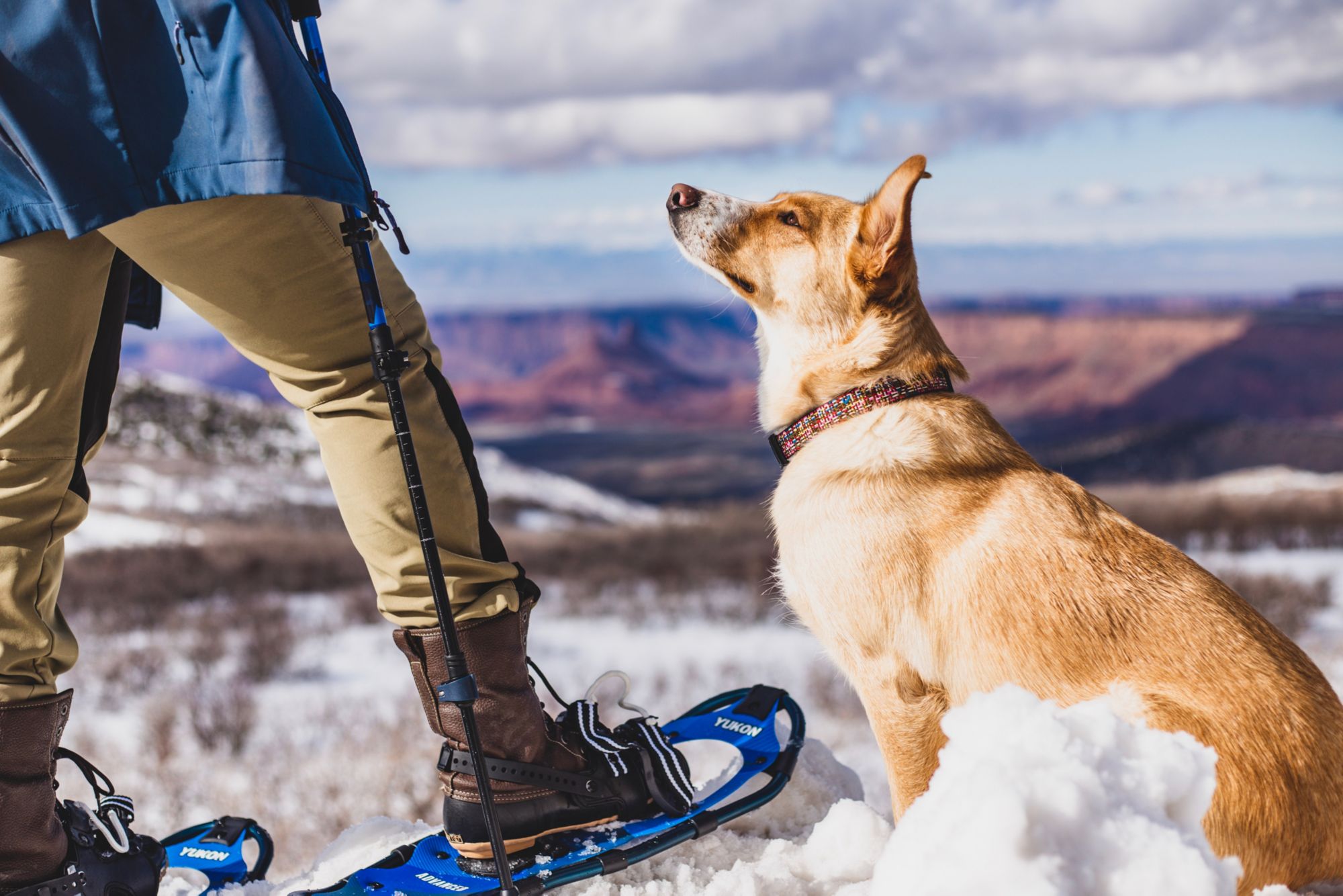 Yukon Charlies Advanced Trekking Poles product image