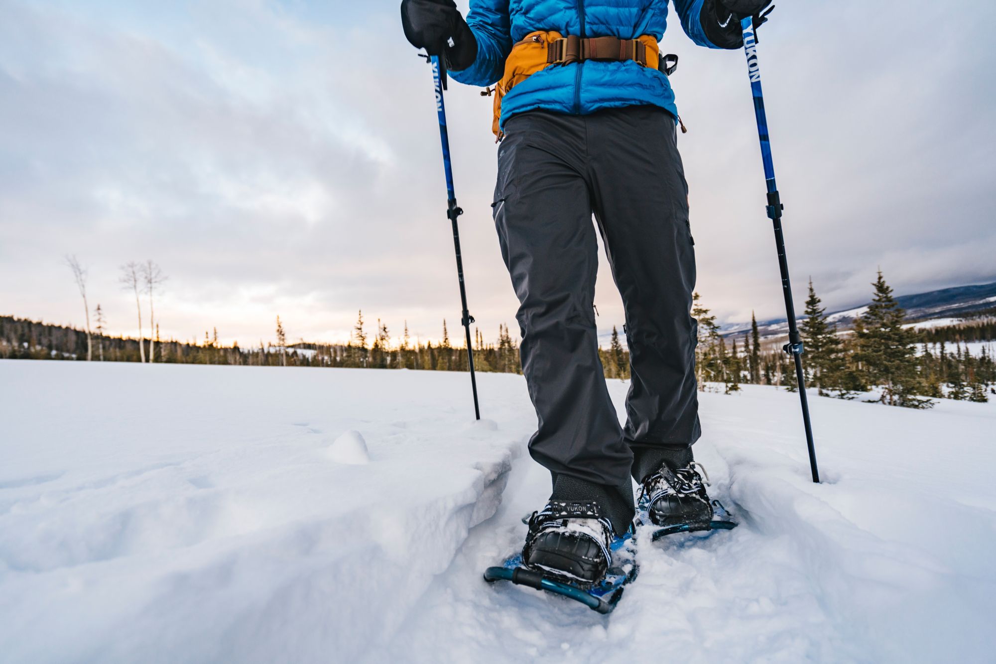 Yukon Charlies Advanced Trekking Poles product image