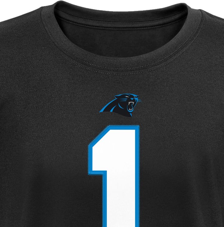 cam newton jersey dicks