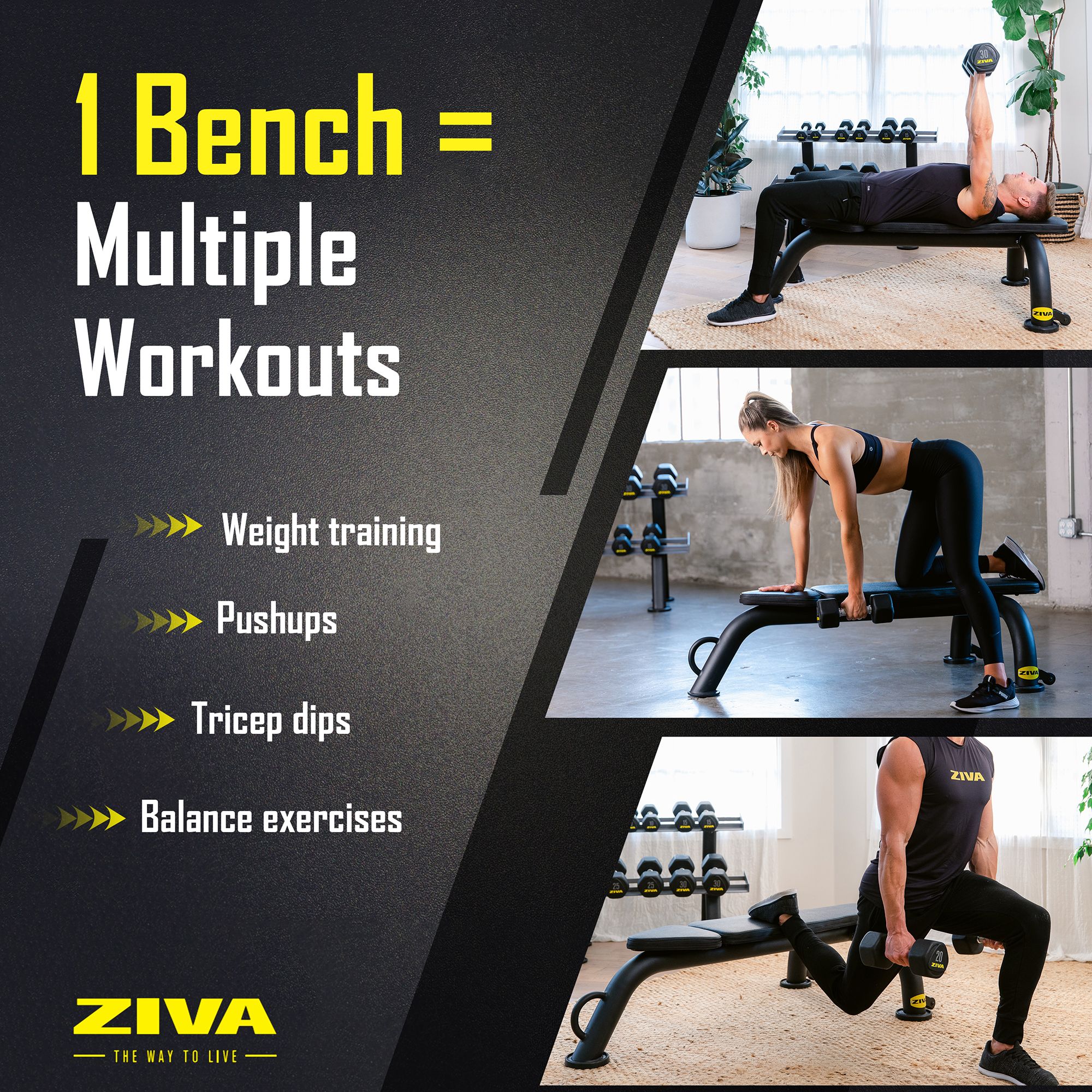 ZIVA Commercial Flat Bench product image