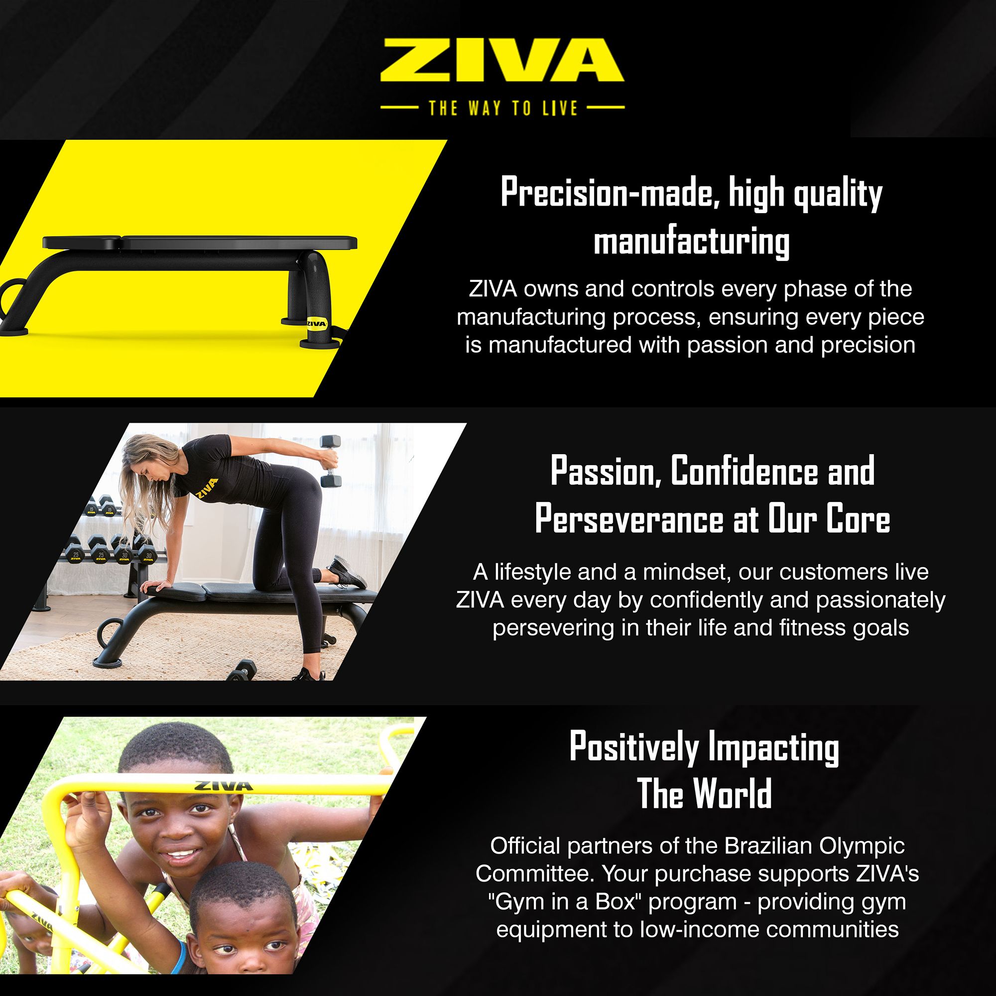 ZIVA Commercial Flat Bench product image