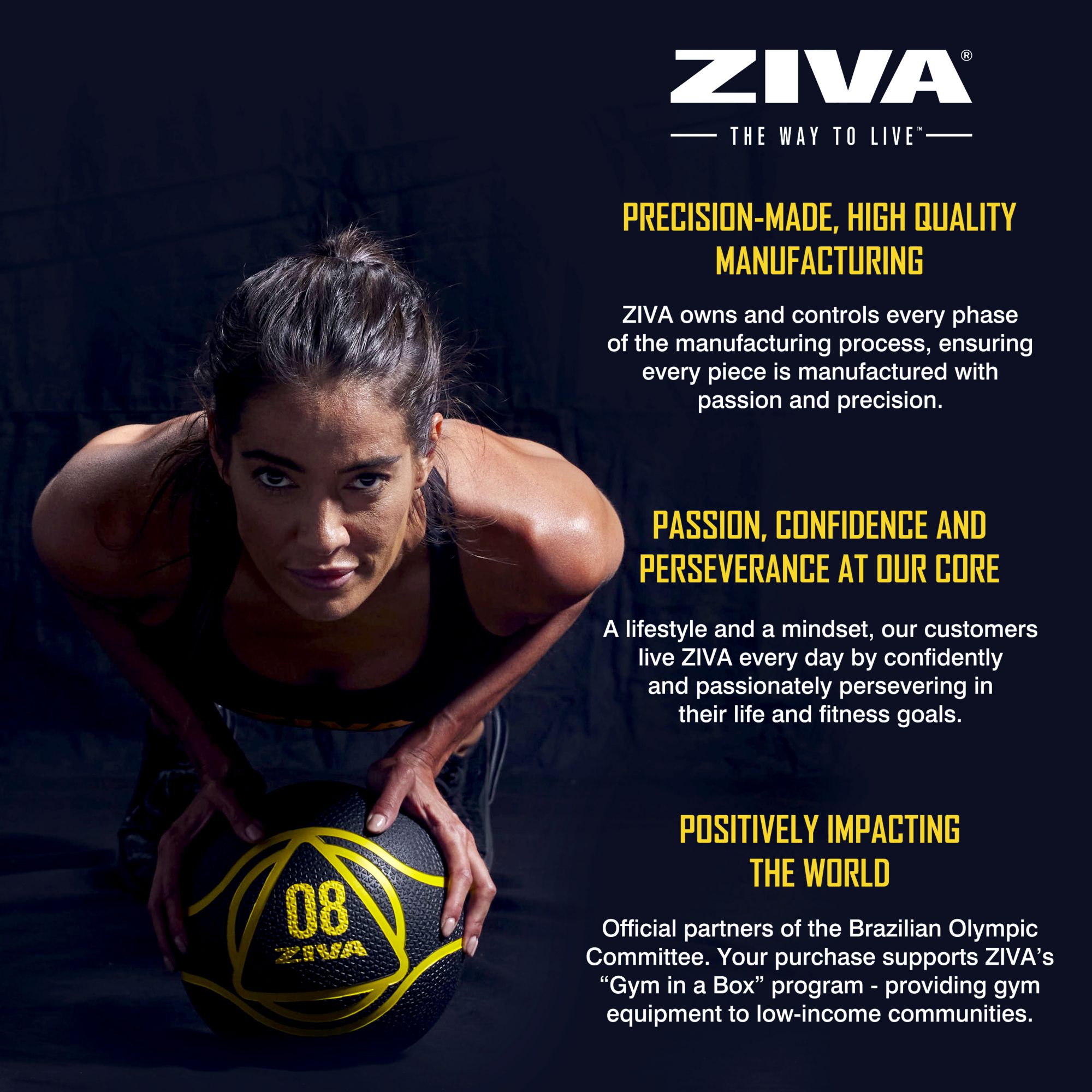 ZIVA Medicine Ball product image
