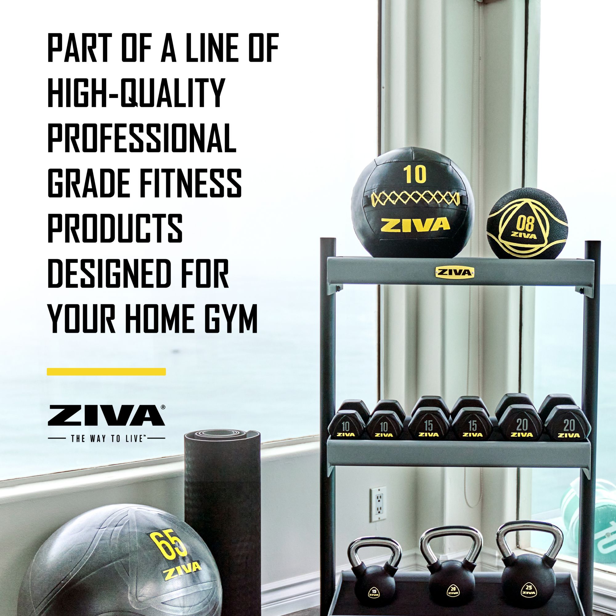 ZIVA Wall Ball product image